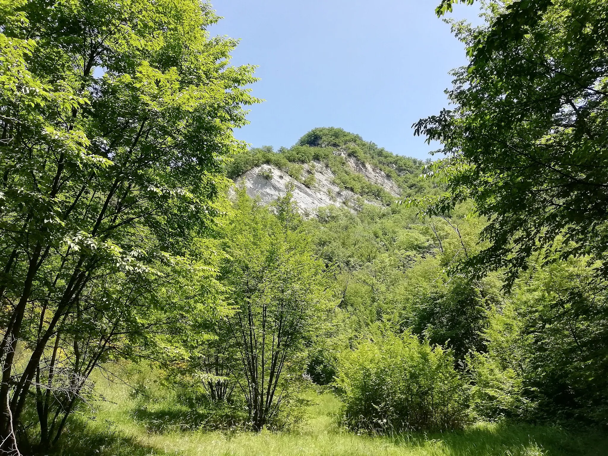 Photo showing: Monte Castellaccio – altura della catena montuosa di monte Vignola, nei pressi di Montasico, visto dal sentiero CAI 138.