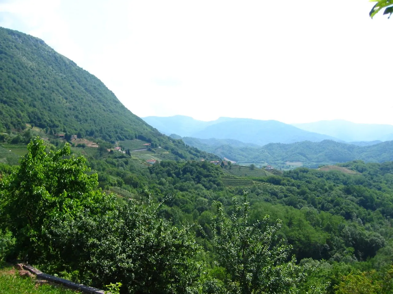 Photo showing: Hills and Vineyards in the DOCG Ramandolo