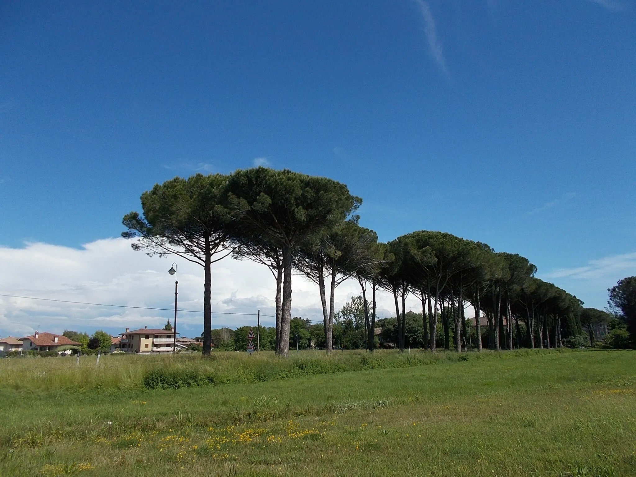 Photo showing: Aquileia - Belvedere d’Aquileia