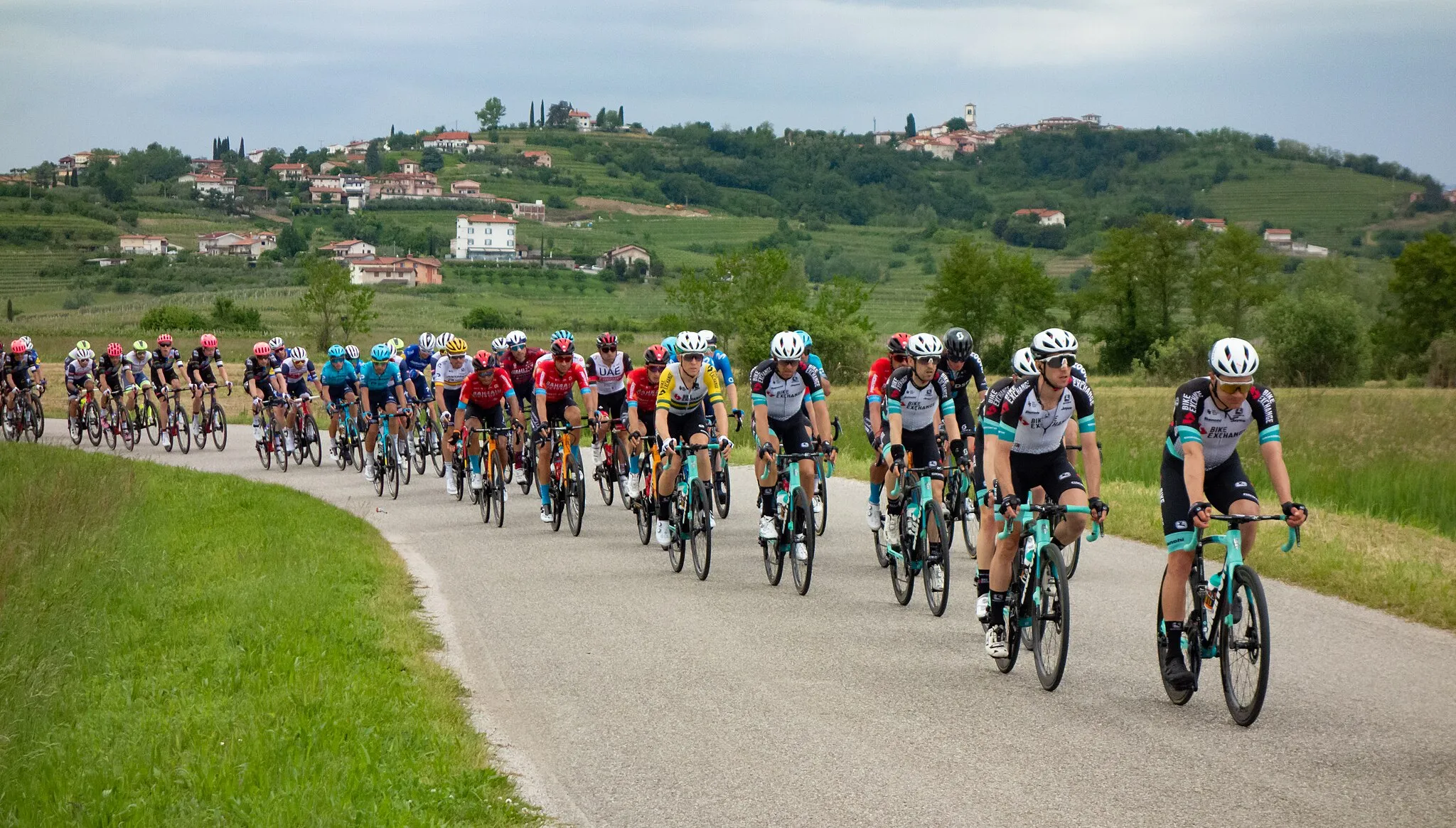 Photo showing: Giro d'Italia 2021, Stage 15, Peloton