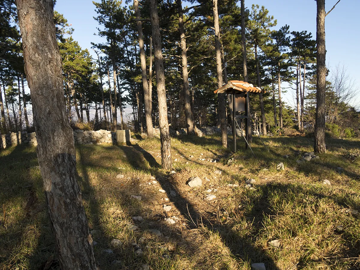 Photo showing: Vrh na Fajtem hribu