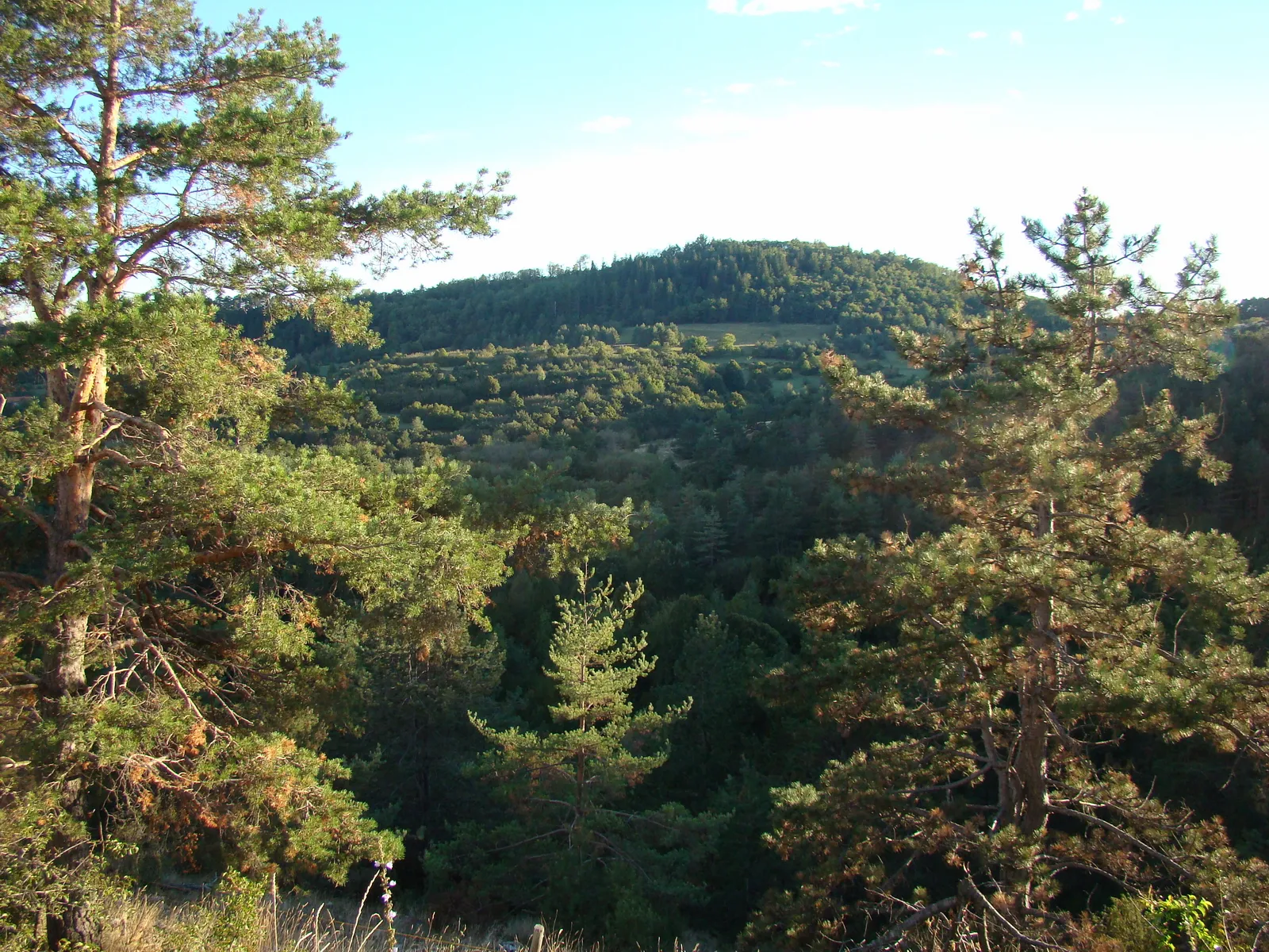 Photo showing: Вид на горной дороге