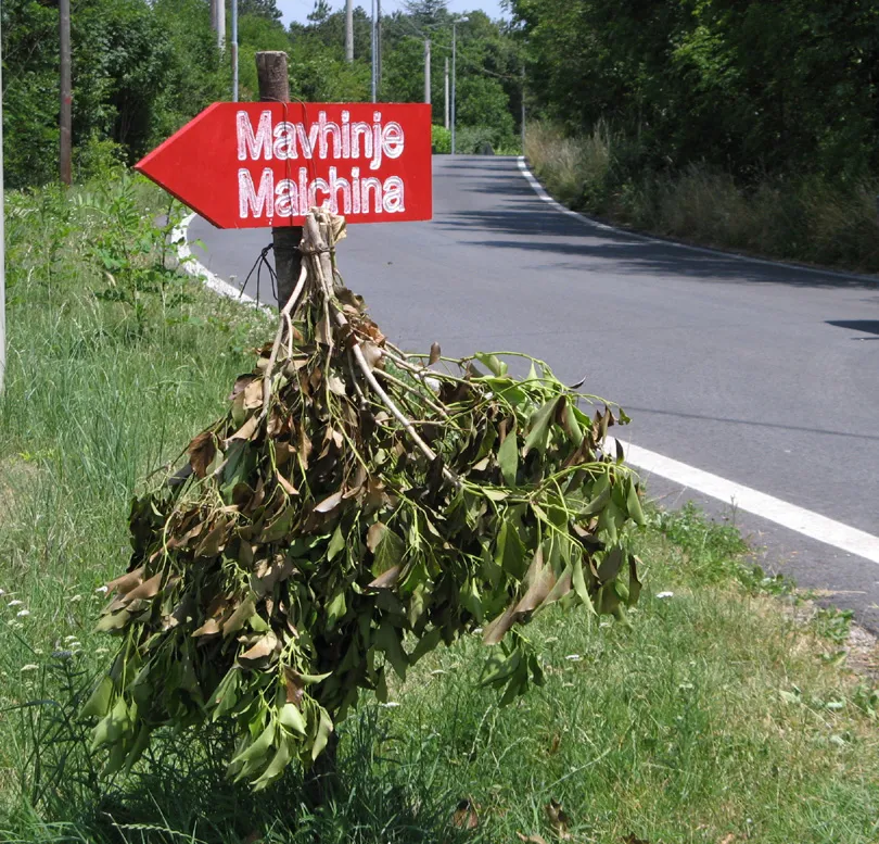 Photo showing: Branch signal for country wine on the Kras Plateau (Trieste, Italy)