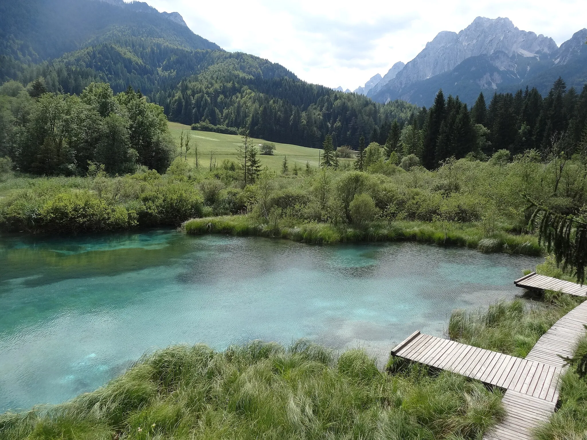 Photo showing: Estany de Zalenci, Eslovènia (agost 2013)