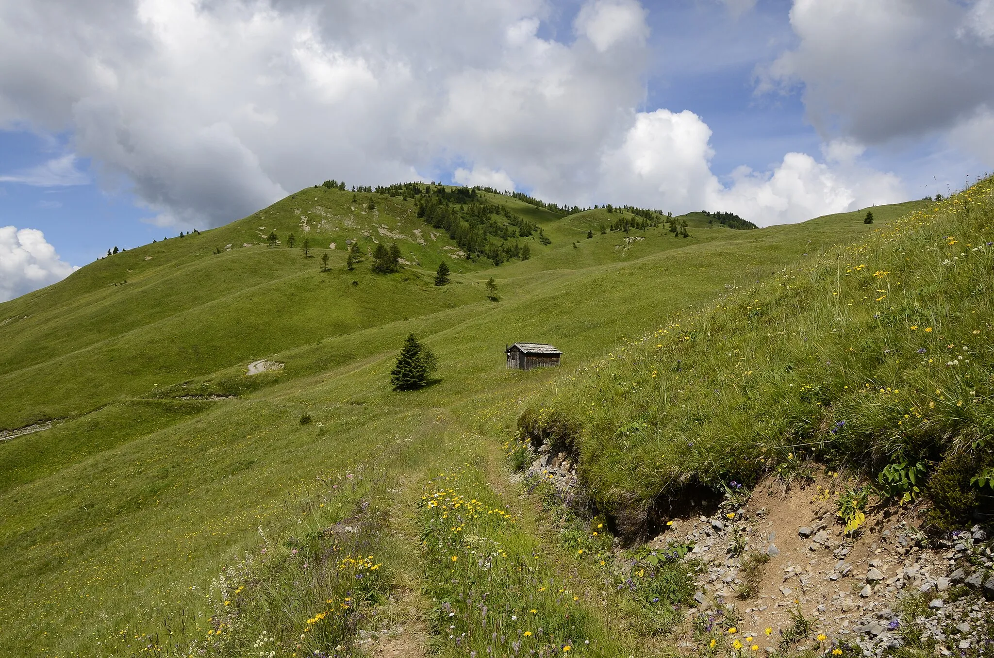 Photo showing: Nature reserve Mussen alp at Strajach, municipality Kötschach-Mauthen, district Hermagor, Carinthia / Austria / EU