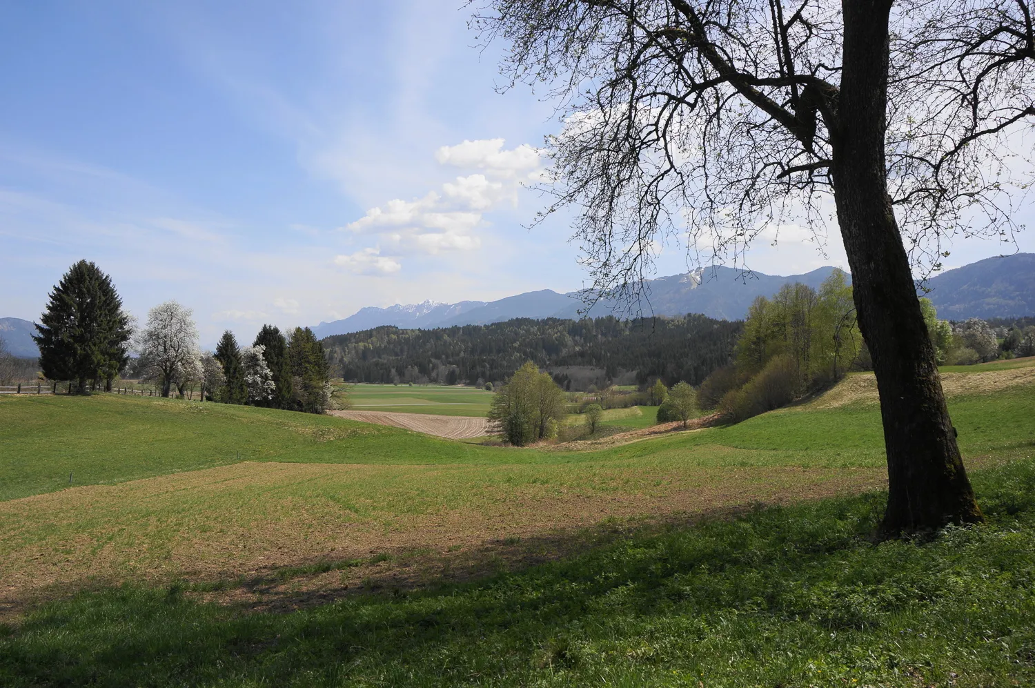 Photo showing: Siedlung und Hügelgräber Derter Platte