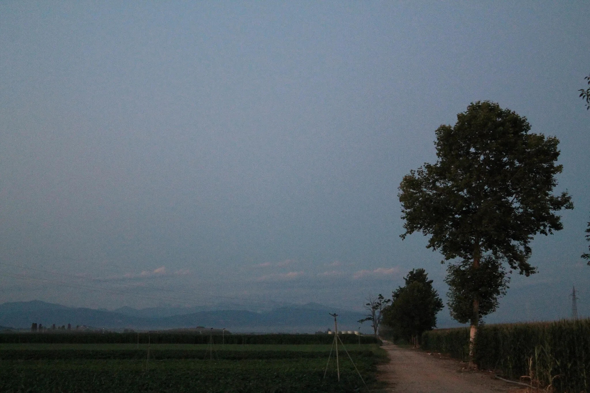 Photo showing: Foto di F. Curridor. Flaibano, panorama dei campi in località "San Michel", visuale verso Est direzione Nogaredo.