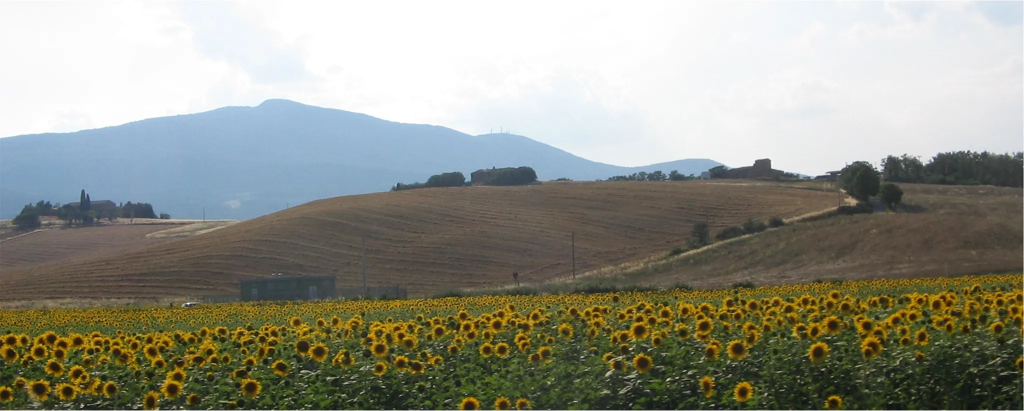 Photo showing: Monte Cetona, near Cetona in Tuscany