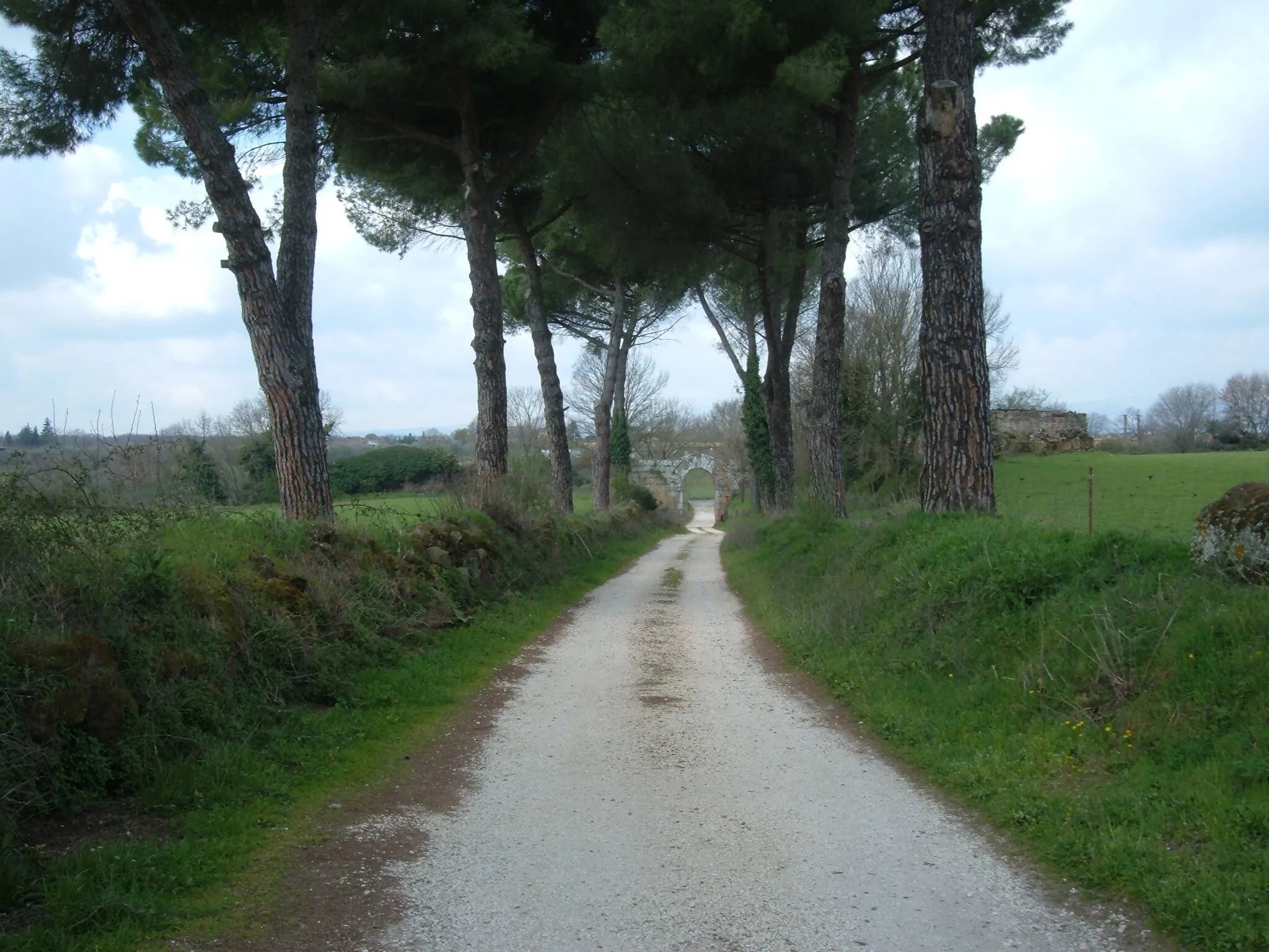 Photo showing: Way inside Falerii Novi leading to Porta di Giove
