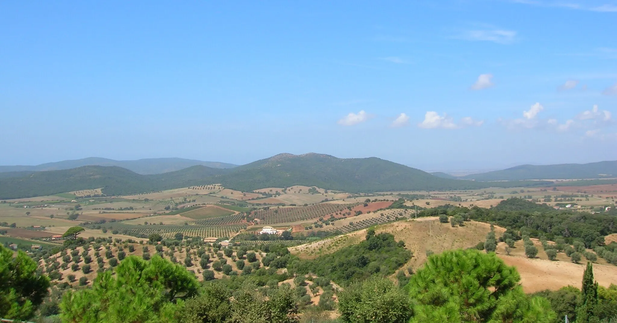 Photo showing: panorama da Capalbio, Toscana, Italia.