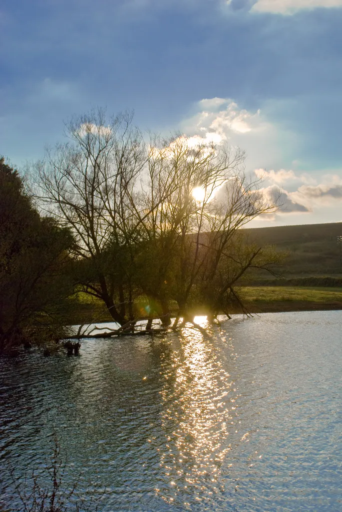 Photo showing: El Lago di Giulianello es una laguna de forma oval, con un perímetro de 1,5 km, ubicado entre los municipios de Velletri y de Cori, en un enclave administrado por el municipio de Artena.