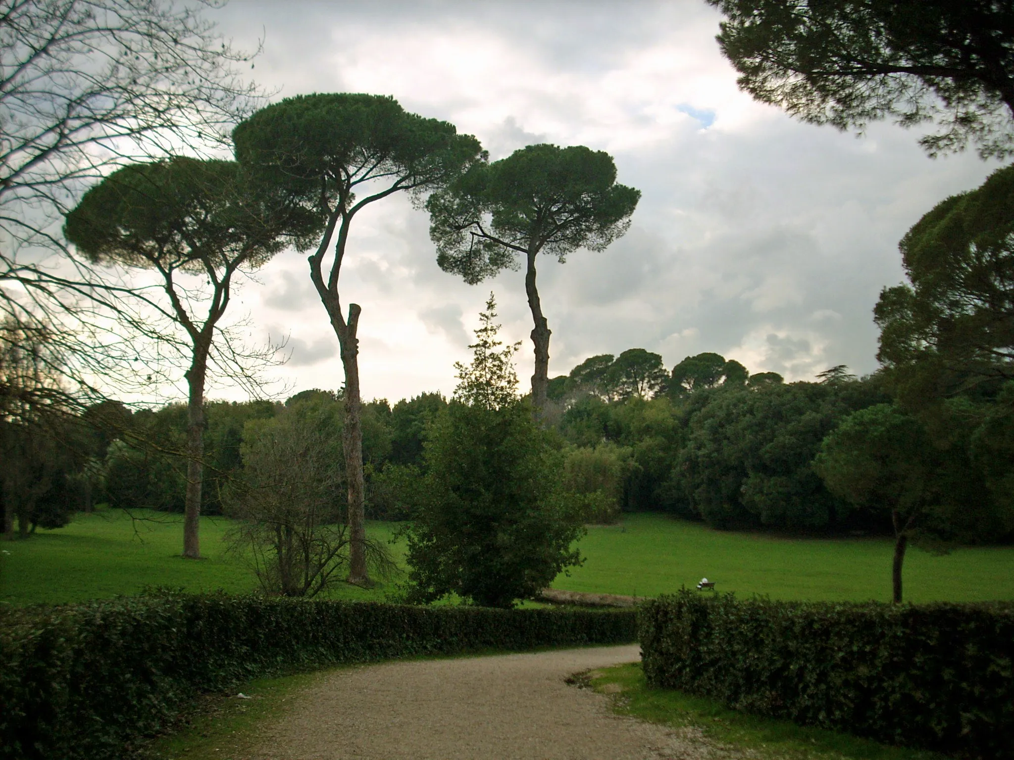 Photo showing: Villa Ada, park lying in the city of Rome