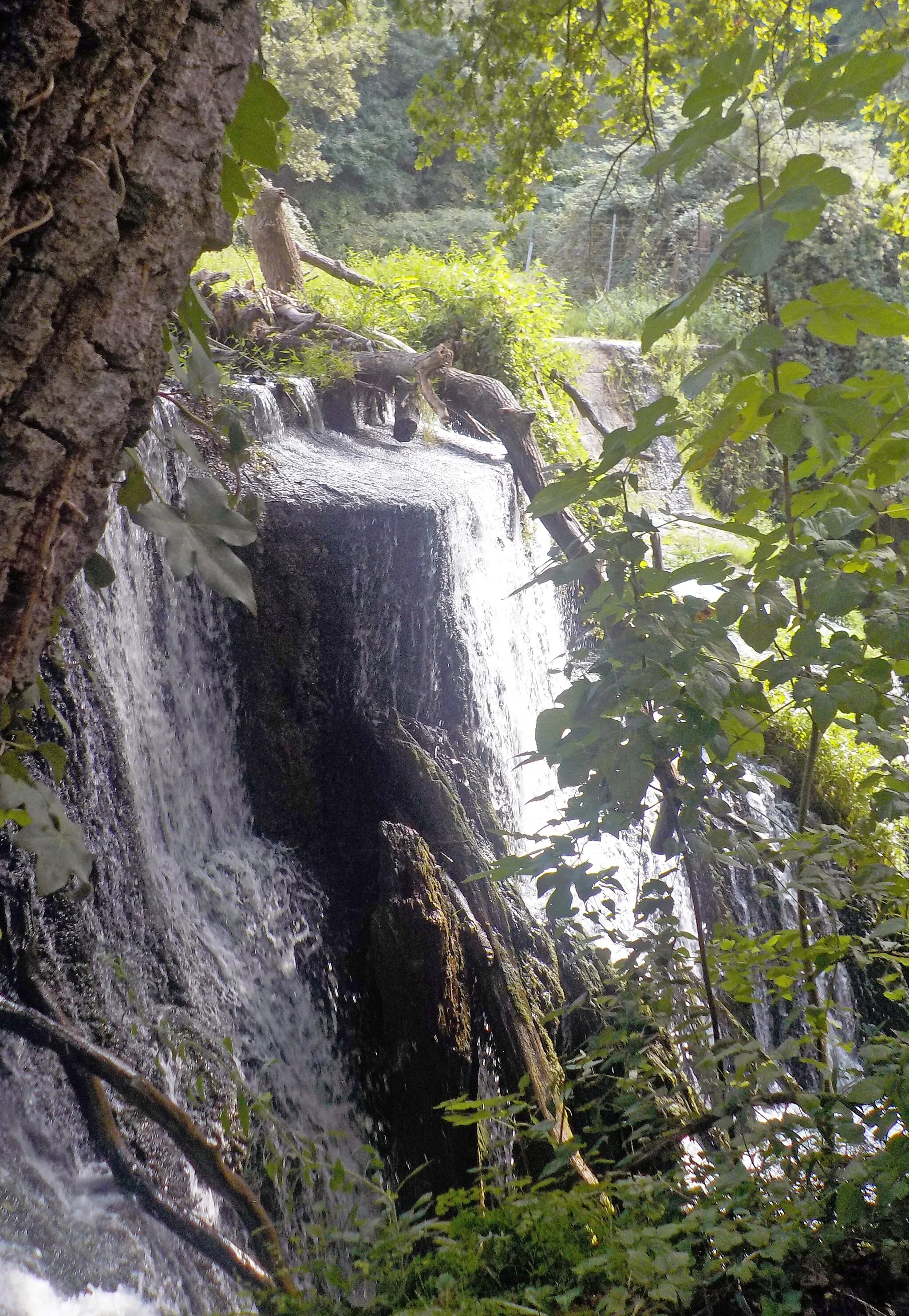 Photo showing: parco regionale di Veio (Q3895752)
Cascata del Cremera alla Mola di Formello, Valle del Sorbo