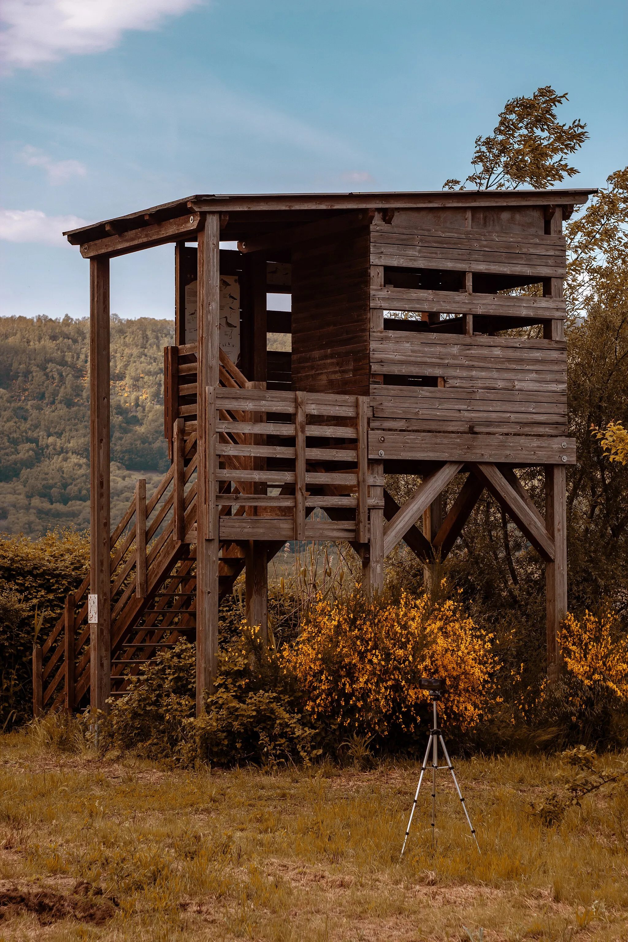 Photo showing: casa dedicata al bird watching nella riserva natuarale del lago di vico .