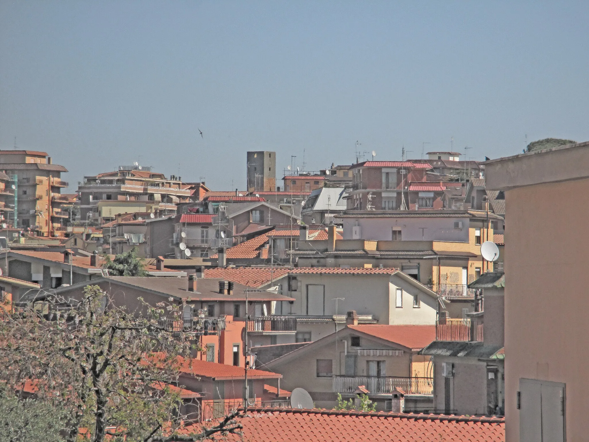 Photo showing: Panorama di Tor Lupara