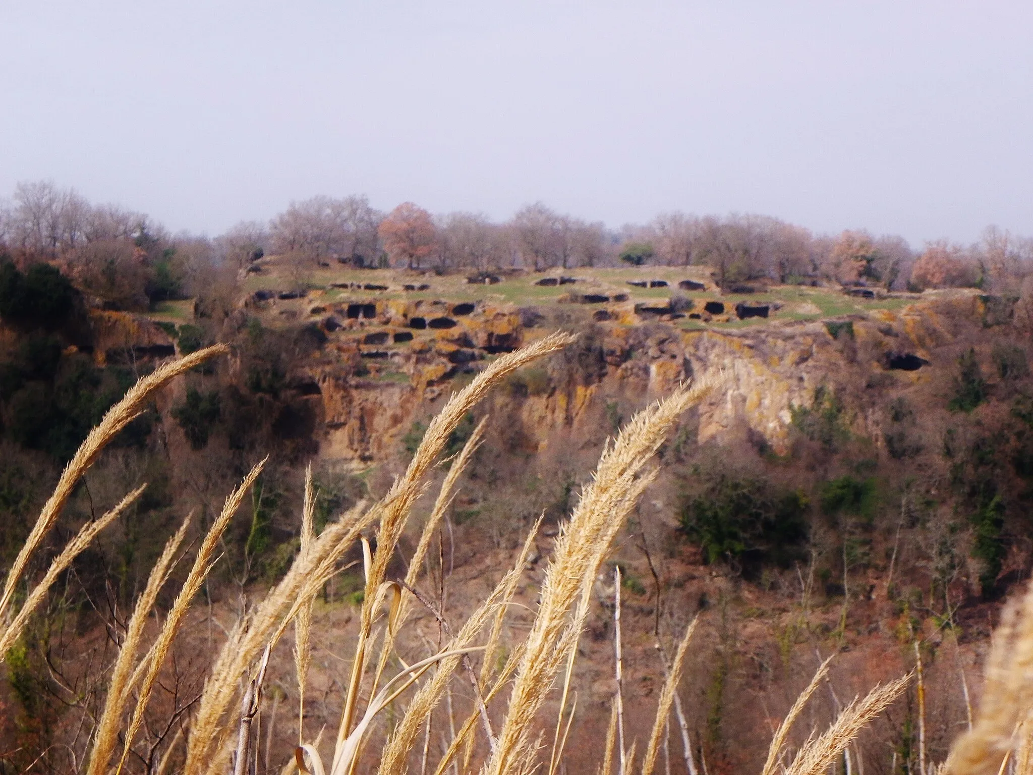 Photo showing: M.te Casoli visto da Bomarzo