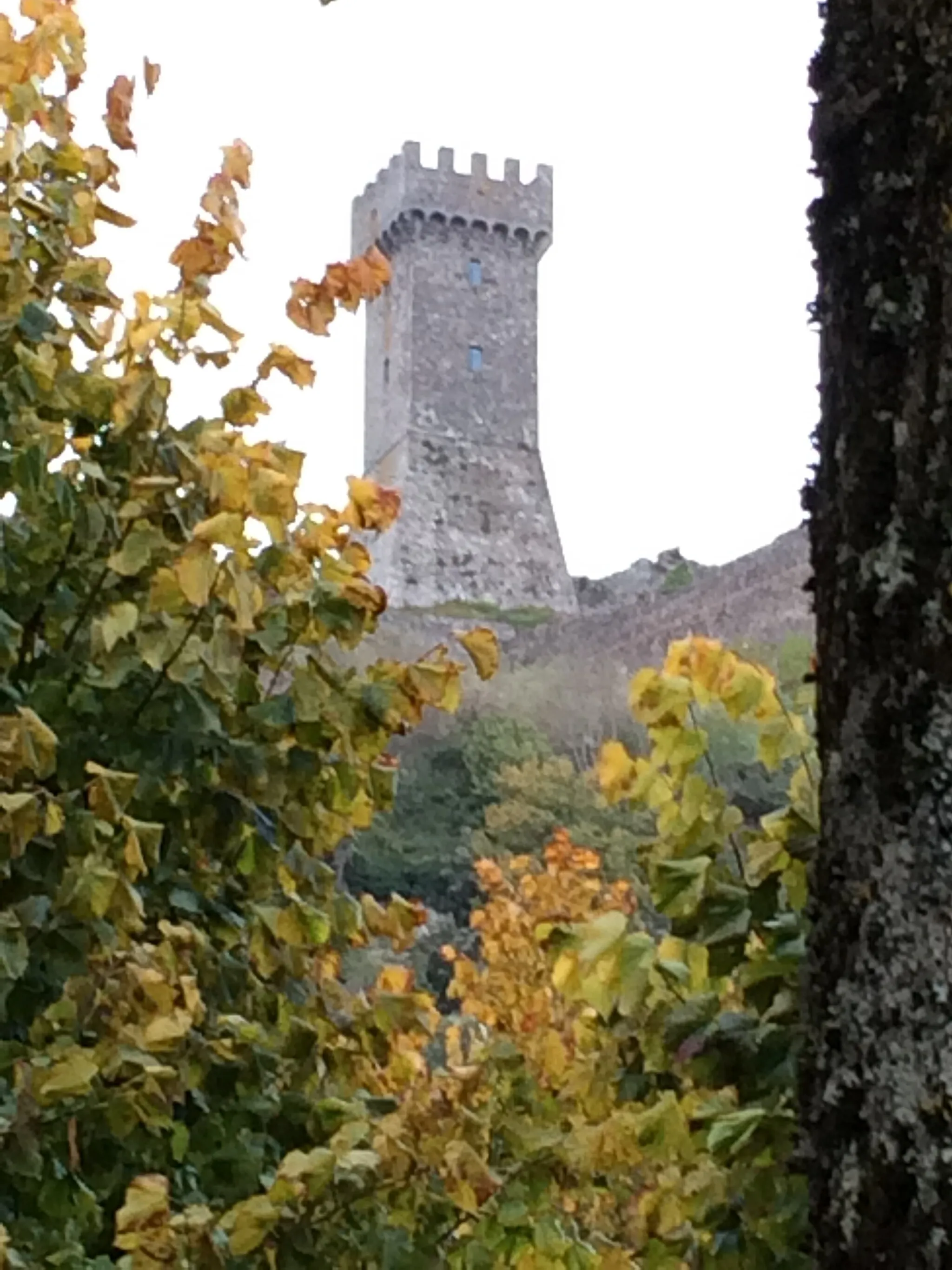 Photo showing: The "Rocca"