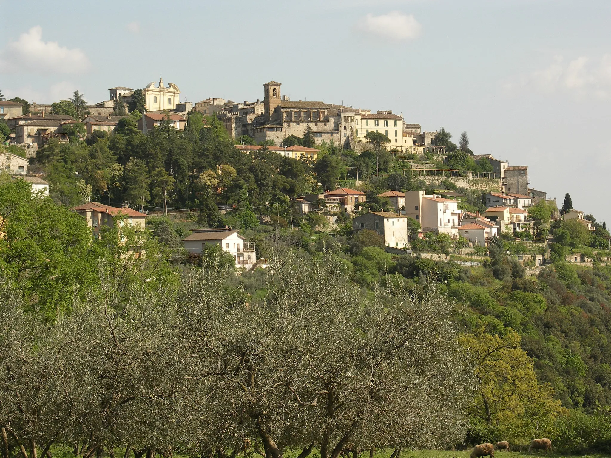 Photo showing: Panorama di Calvi dell'Umbria