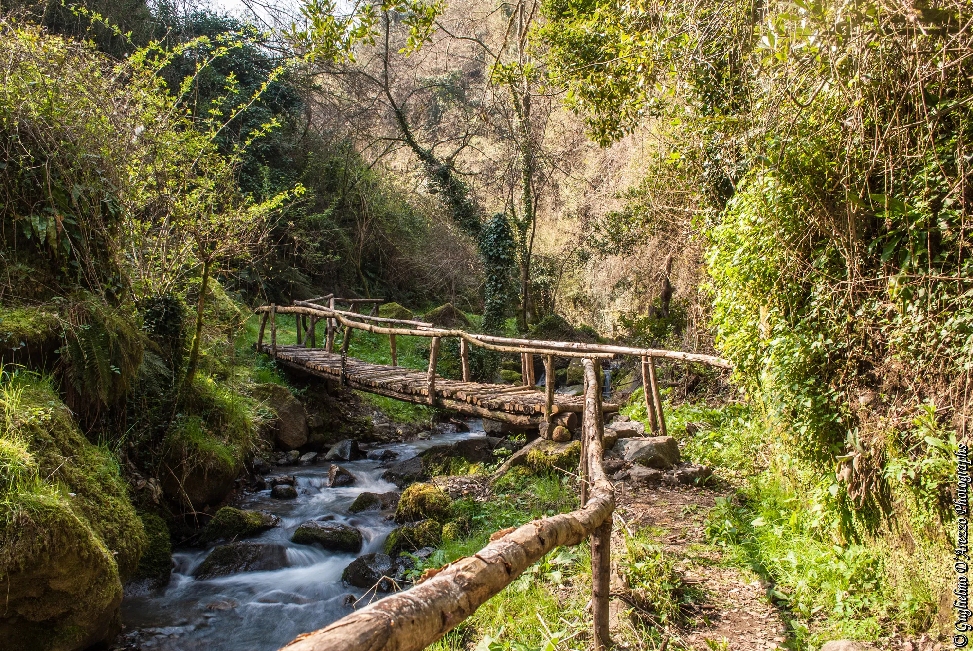 Photo showing: Ponte in legno valle dei mulini, autore Guglielmo D'Arezzo, uso libero con attribuzione.