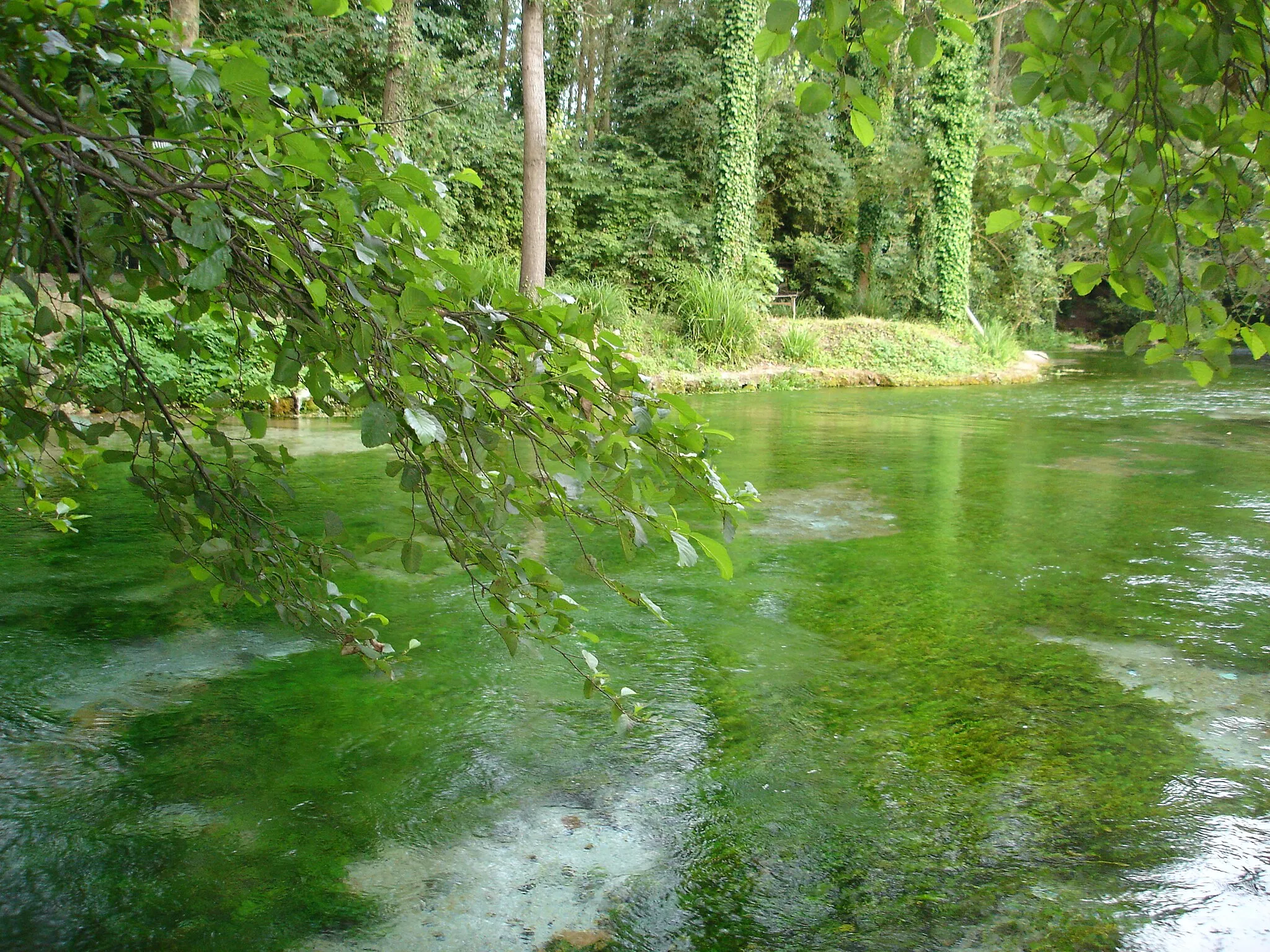Photo showing: Le acque sorgive presso le Terme varroniane.