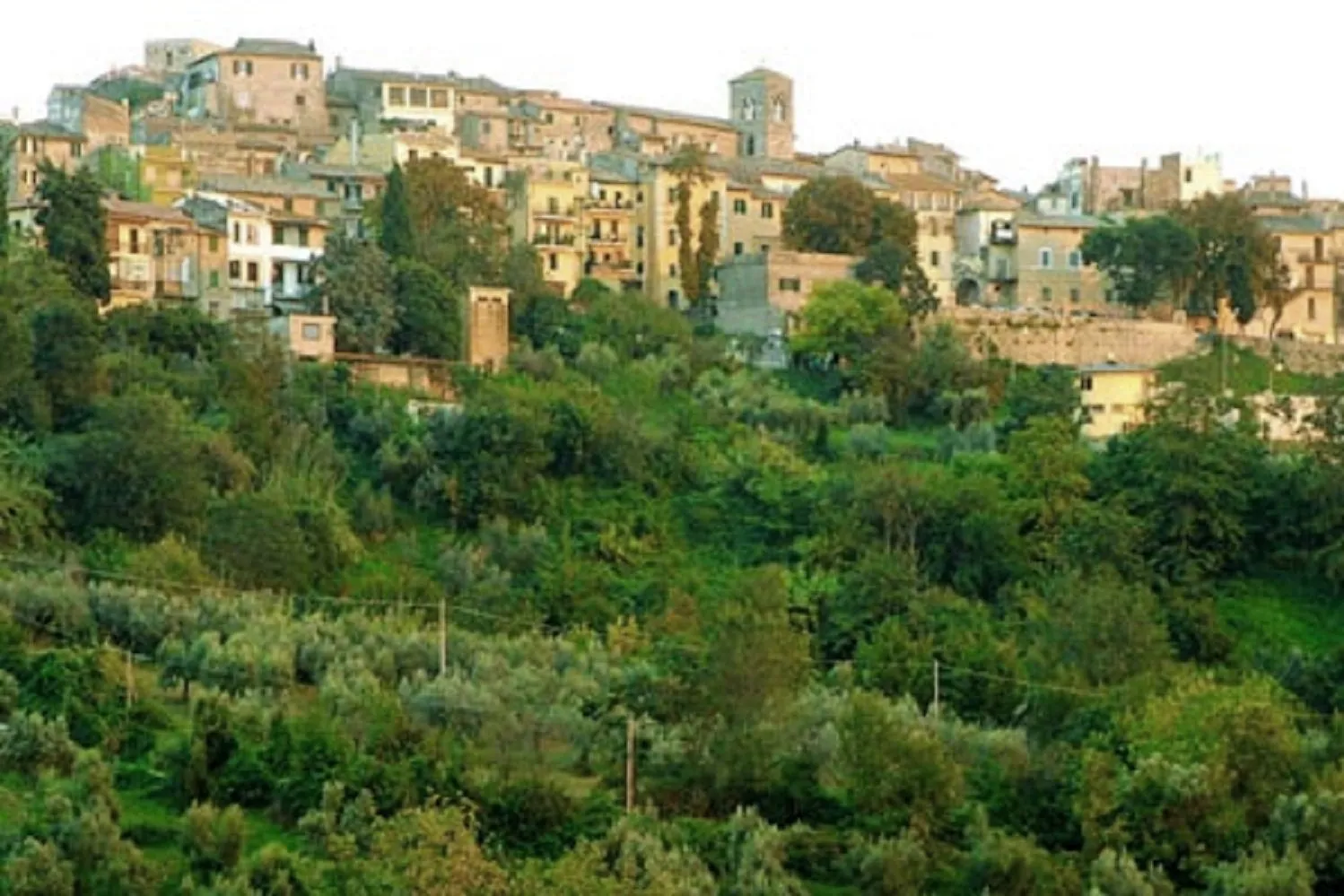 Photo showing: Panoramica di Montopoli