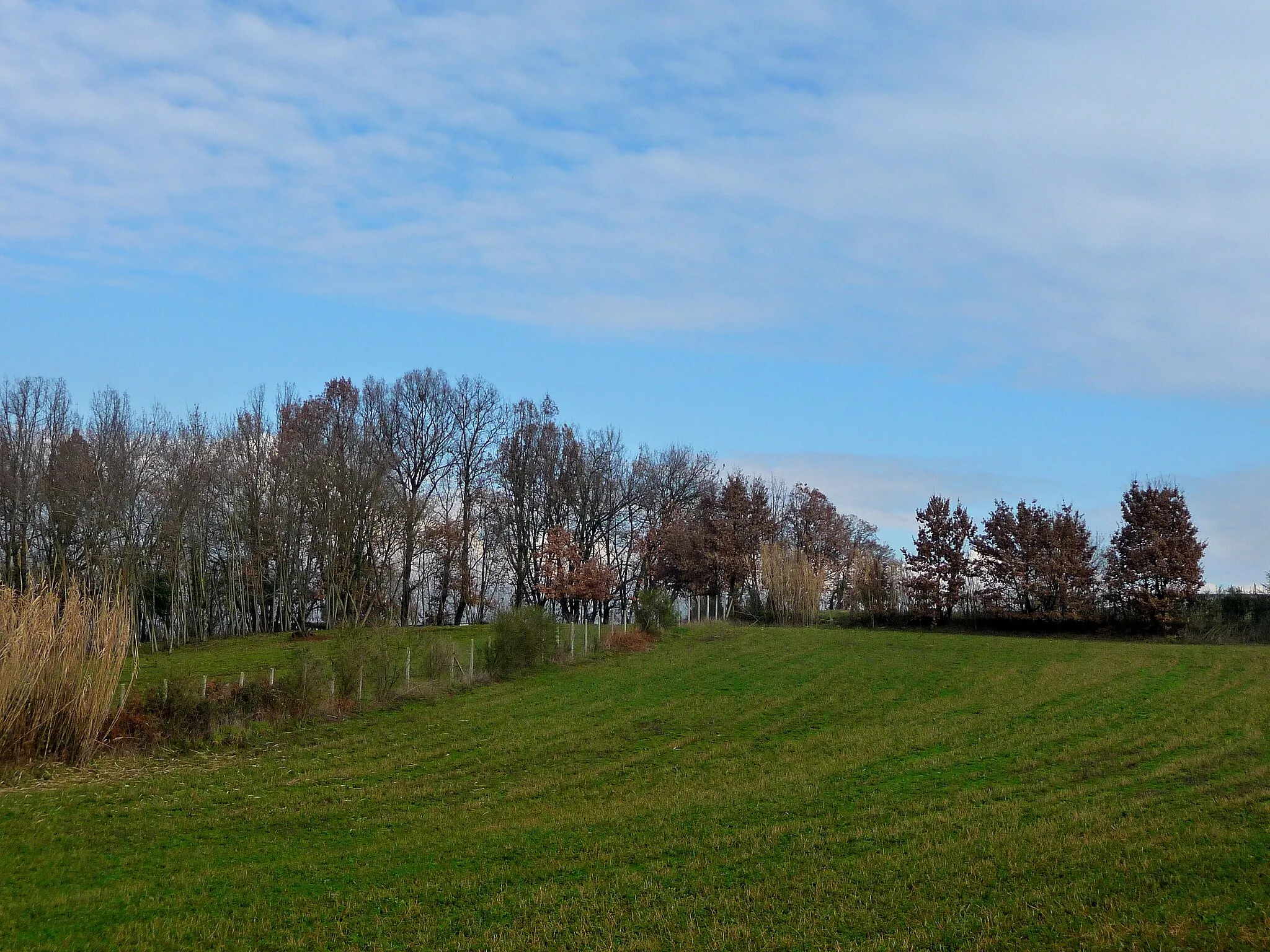 Photo showing: Panorama di campagna nei pressi di Gavignano