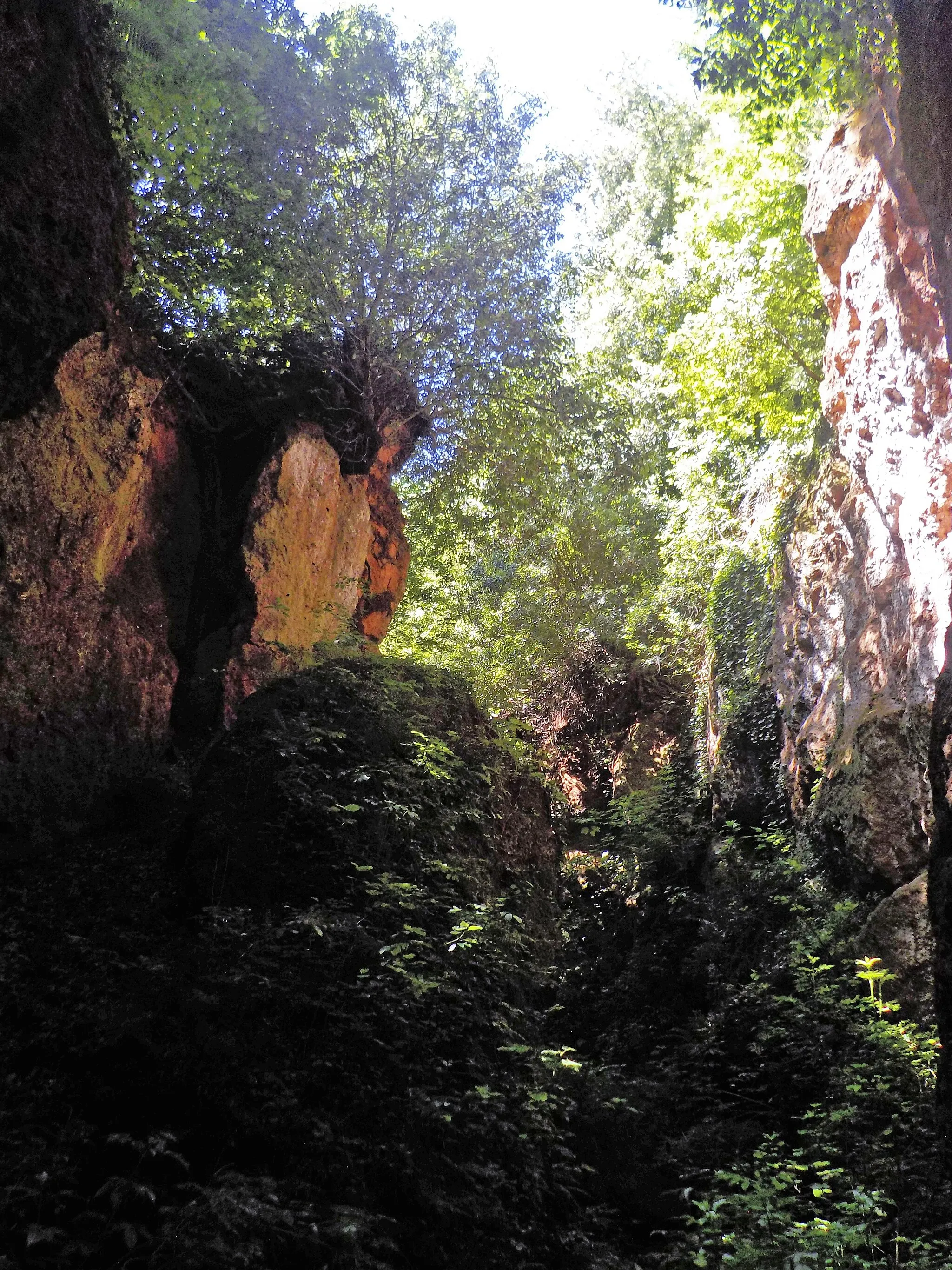 Photo showing: parco dell'antichissima città di Sutri (Q3364866) Boschi misti di querce e castagni sulle rupi tufacee della Tagliata etrusca, Sutri