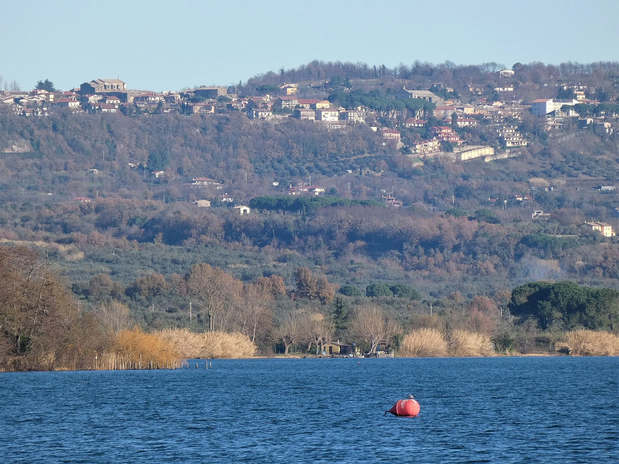 Photo showing: San Lorenzo Nuovo e il lago di Bolsena