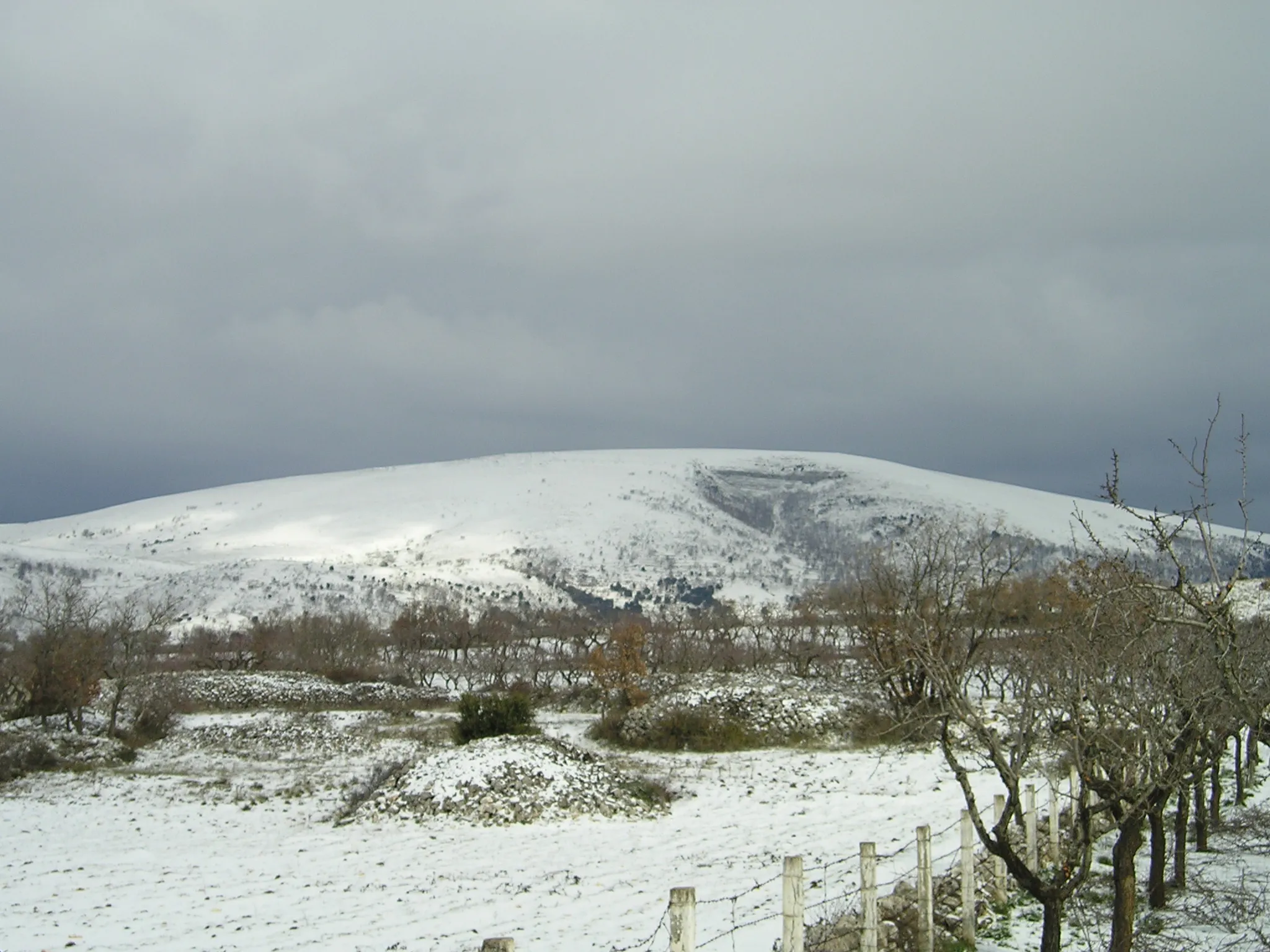 Photo showing: Monte Calvo fotografato, dopo un'abbondante nevicata, nel comune di San Giovanni Rotondo.