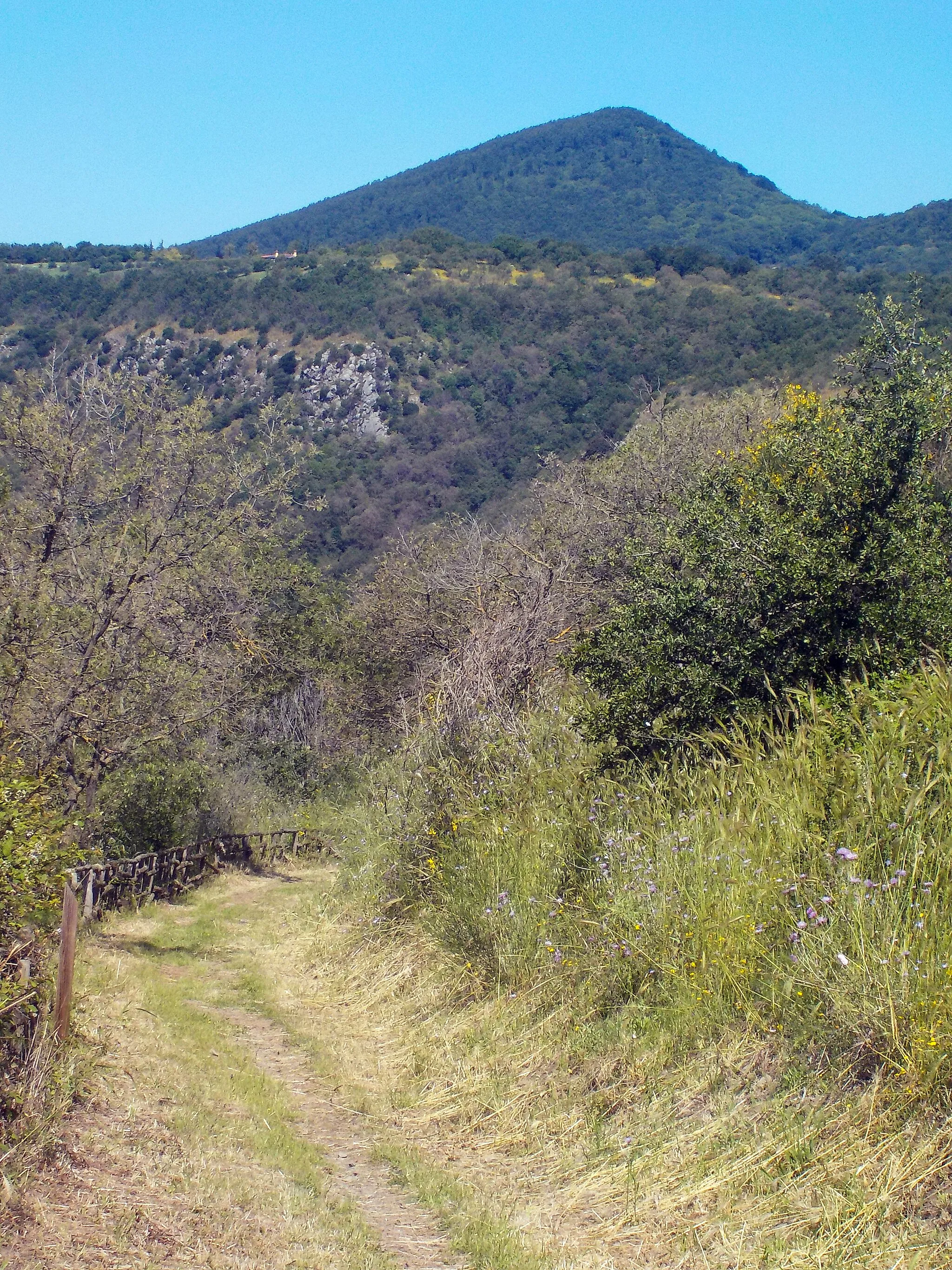 Photo showing: parco naturale regionale di Bracciano-Martignano (Q3895674)