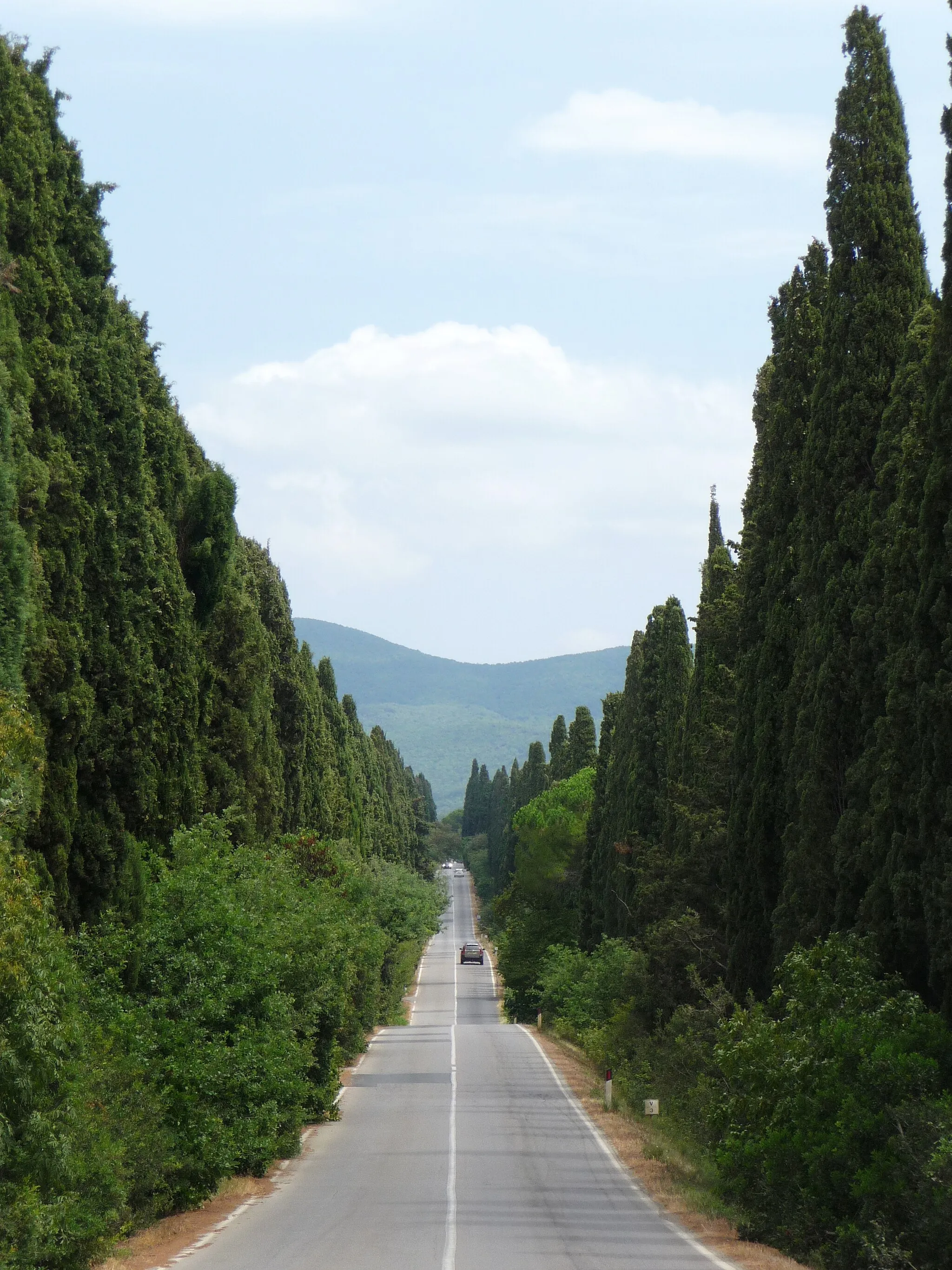 Photo showing: Viale dei Cipressi, Bolgheri, Castagneto Carducci, Tuscany, Italy