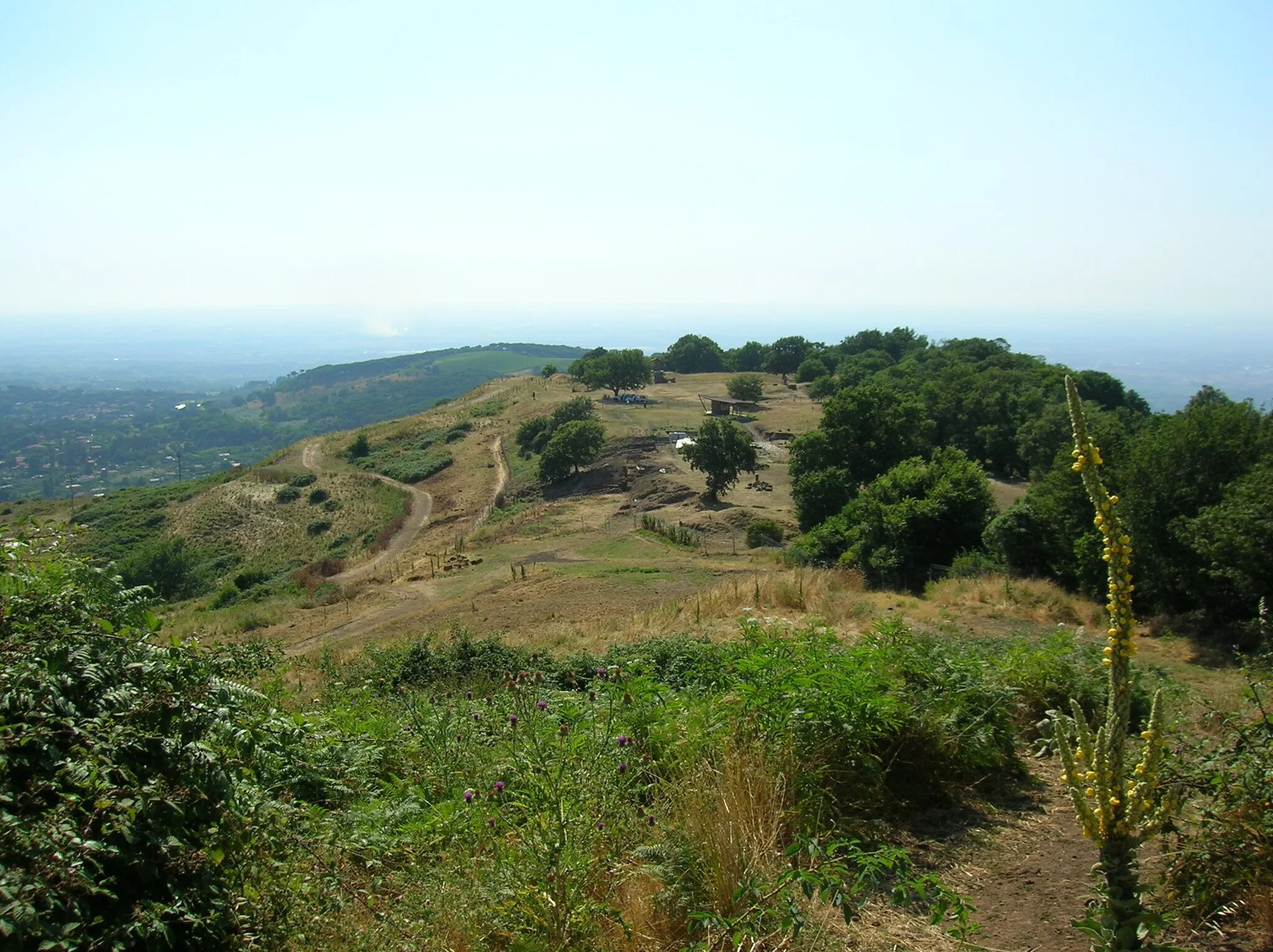 Photo showing: Part of the Archaeological Park seen from the top of the mountain. Tusculum Archaeological Park, Lazio, Italy.