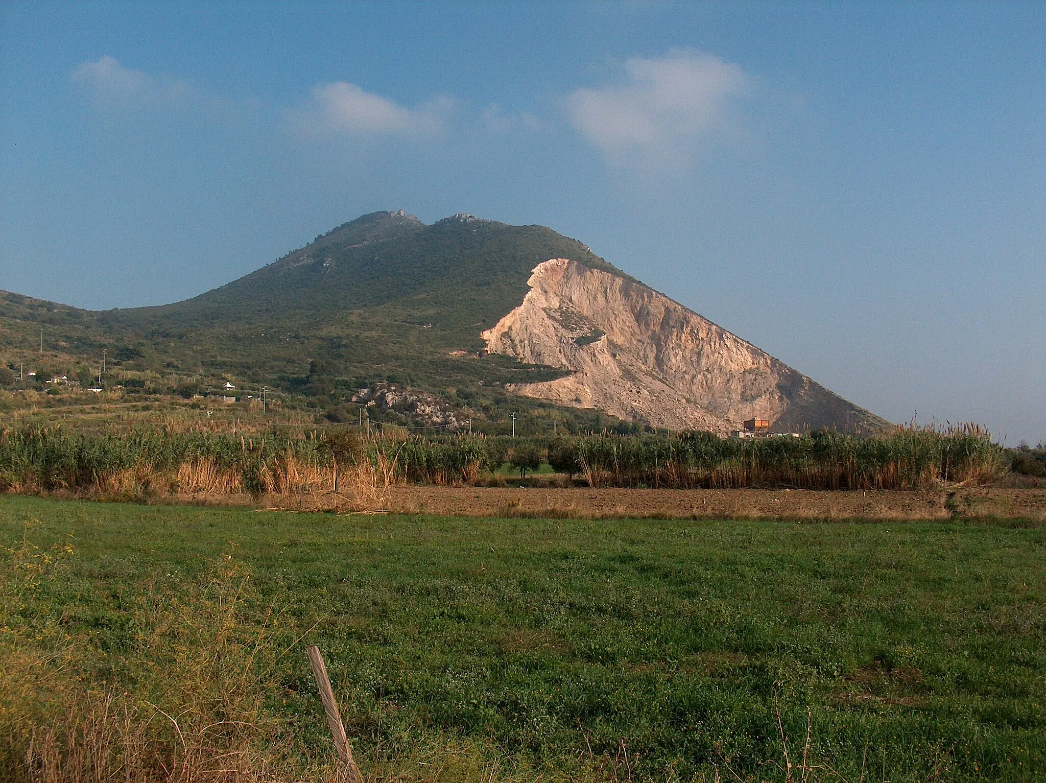 Photo showing: parte settentrionale del Monte Petrino: zona colle Cicoli