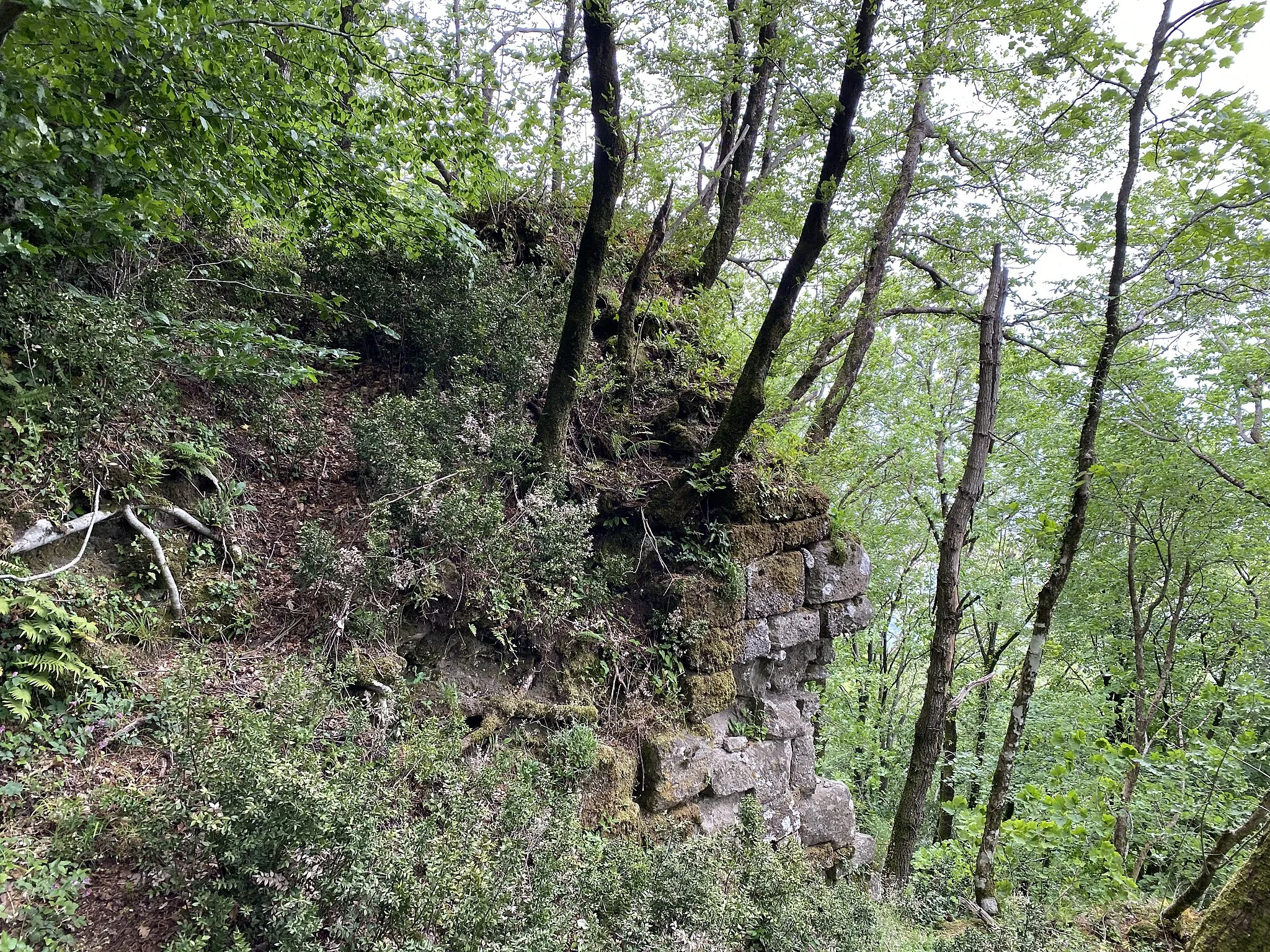 Photo showing: Rovine del castello del Maschio dell’Ariano