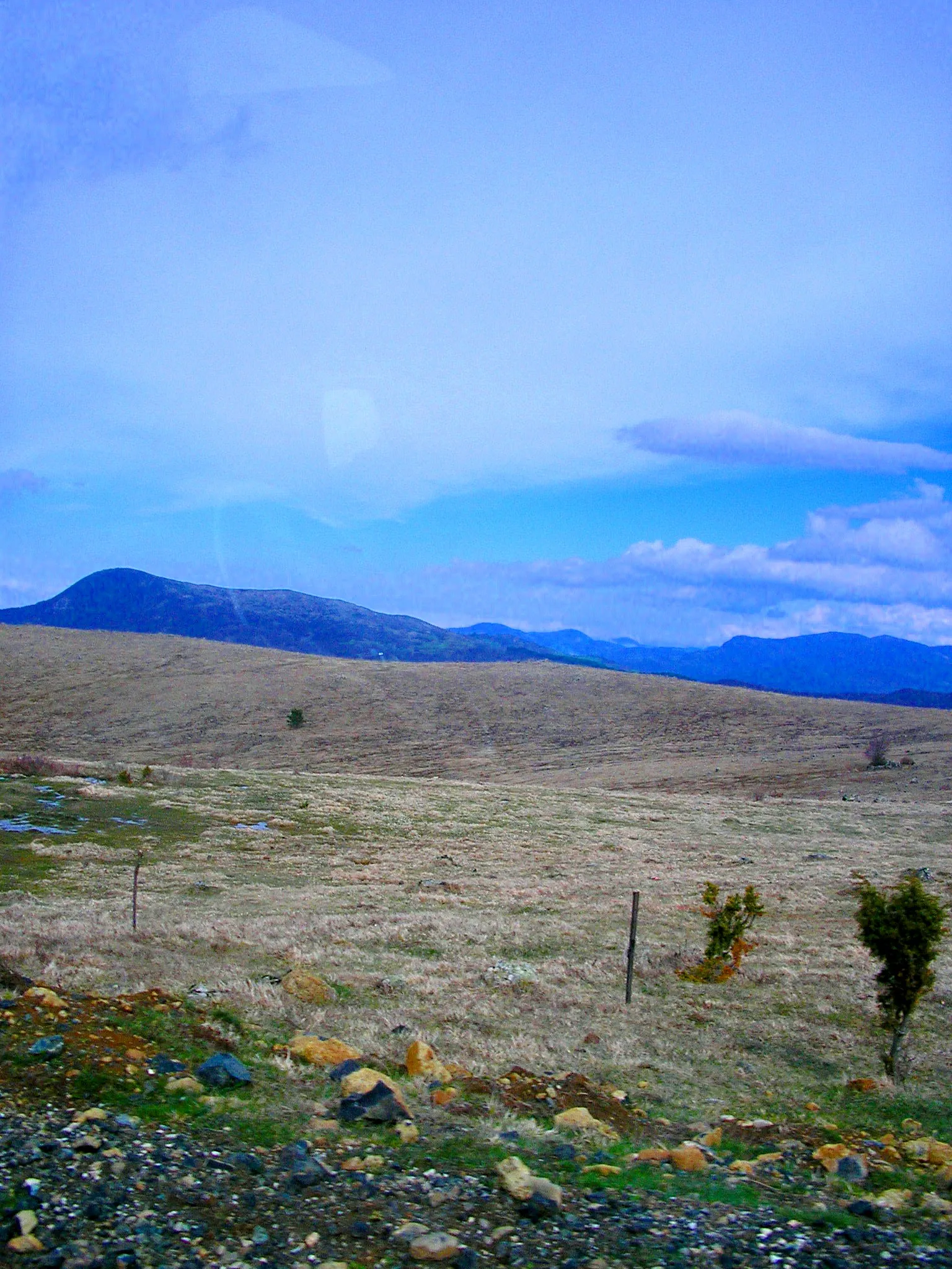 Photo showing: Pascoli sopra il Passo S.Barbara