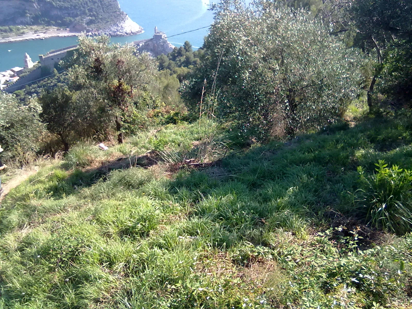 Photo showing: 19025 Porto Venere, Province of La Spezia, Italy