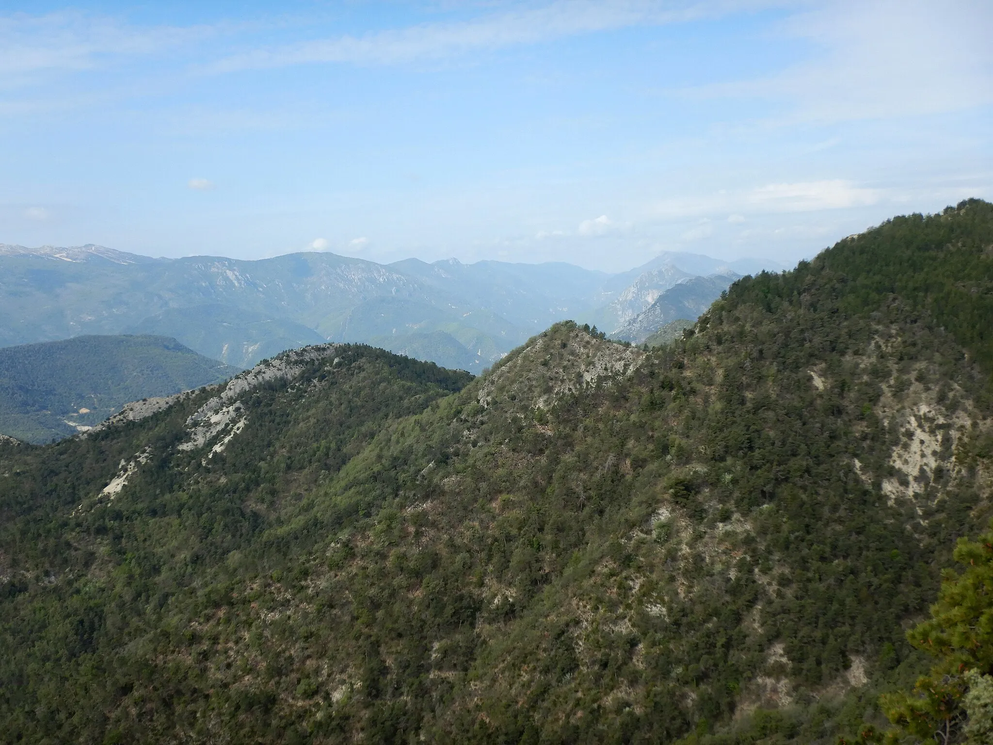 Photo showing: Éléments de paysage, photographiés à partir de la route (D27) peu après le village-centre de Toudon (en allant en direction de Nice) . Fin avril 2018.