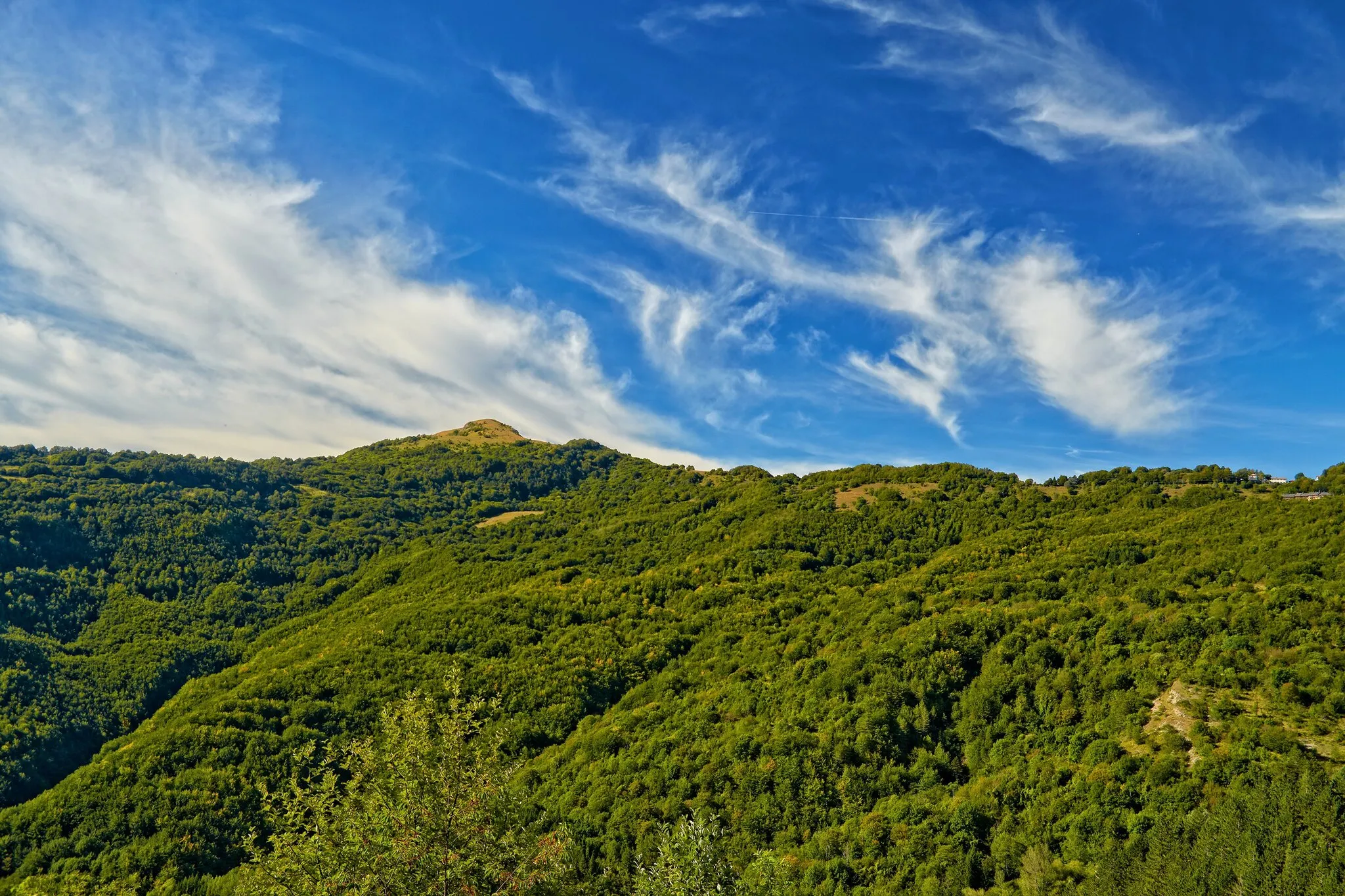 Photo showing: Monte Cavalmurone

Diciassette settembre 2016