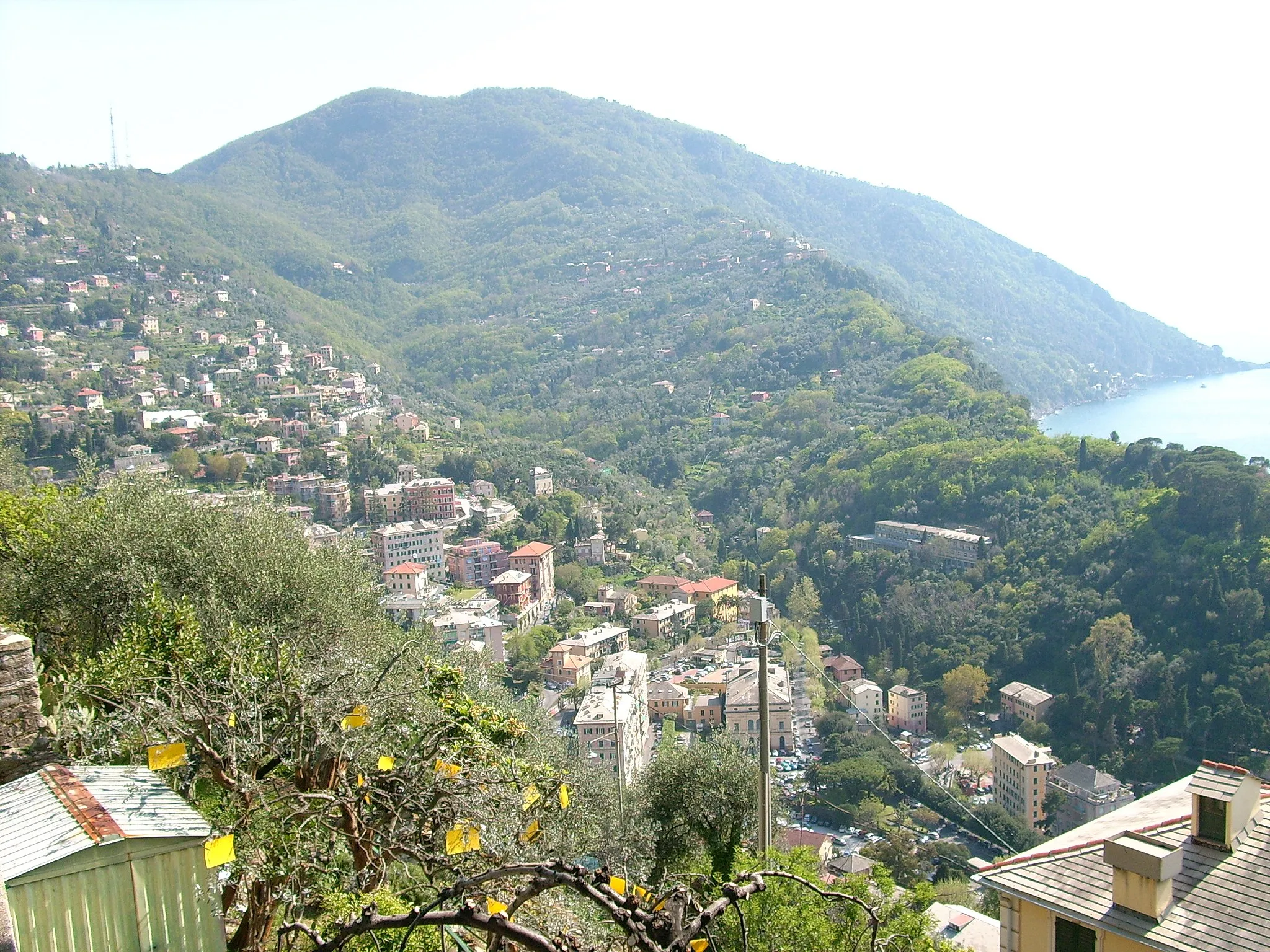 Photo showing: Vista di Ruta e San Rocco di Camogli, Liguria, Italia