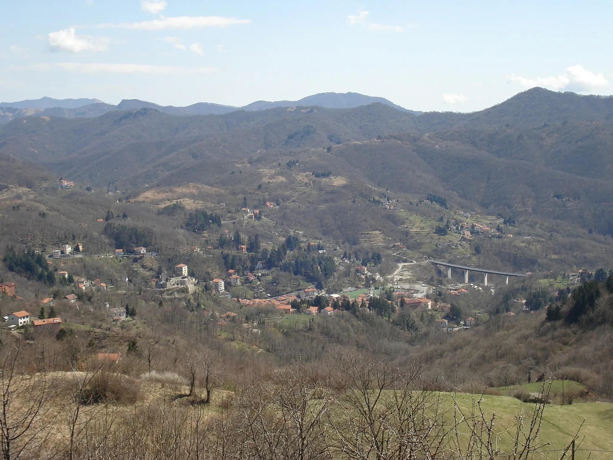 Photo showing: Cosmin latan,05-04-2008,Torriglia