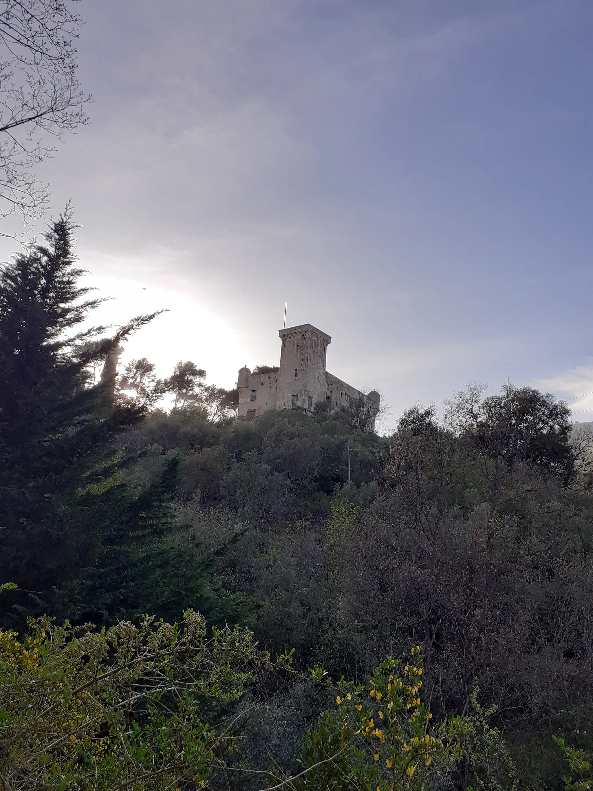 Photo showing: U castellu de Cunscente vistu daa salitta aa gêxa de San Lisciandru I Pappa (Via Amedêu), Cunscènte (Cixan, SV)