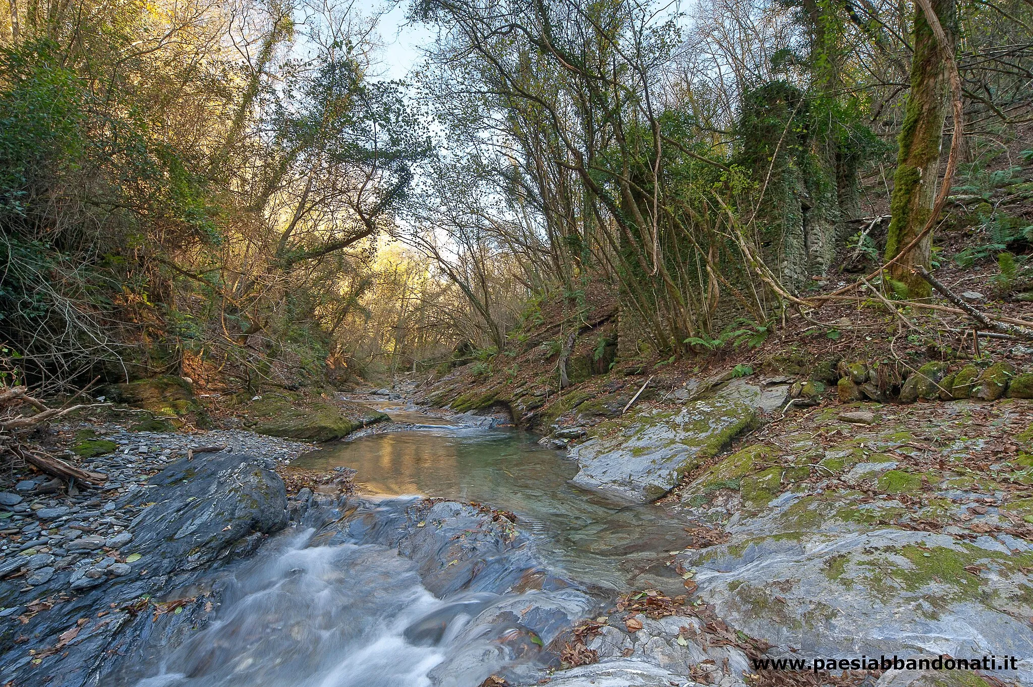 Photo showing: I resti dell'antico mulino di Boasi lungo il torrente Lavagna