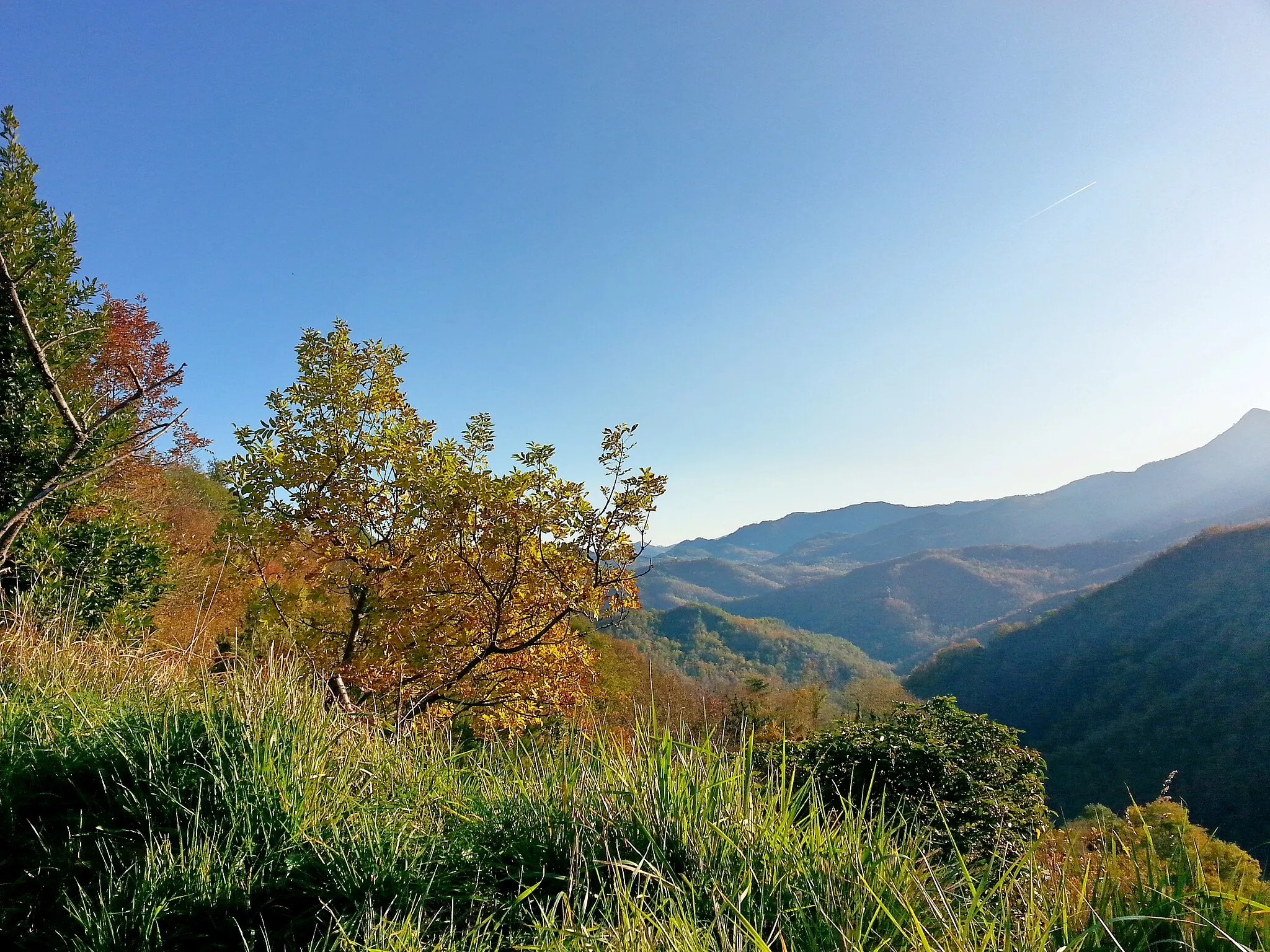 Photo showing: Il Monte Bado all'orizzonte visto dalla Colletta di Boasi