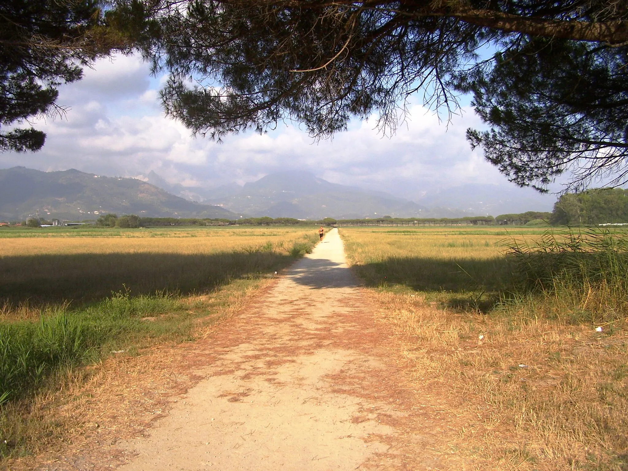 Photo showing: tenuta di marinella