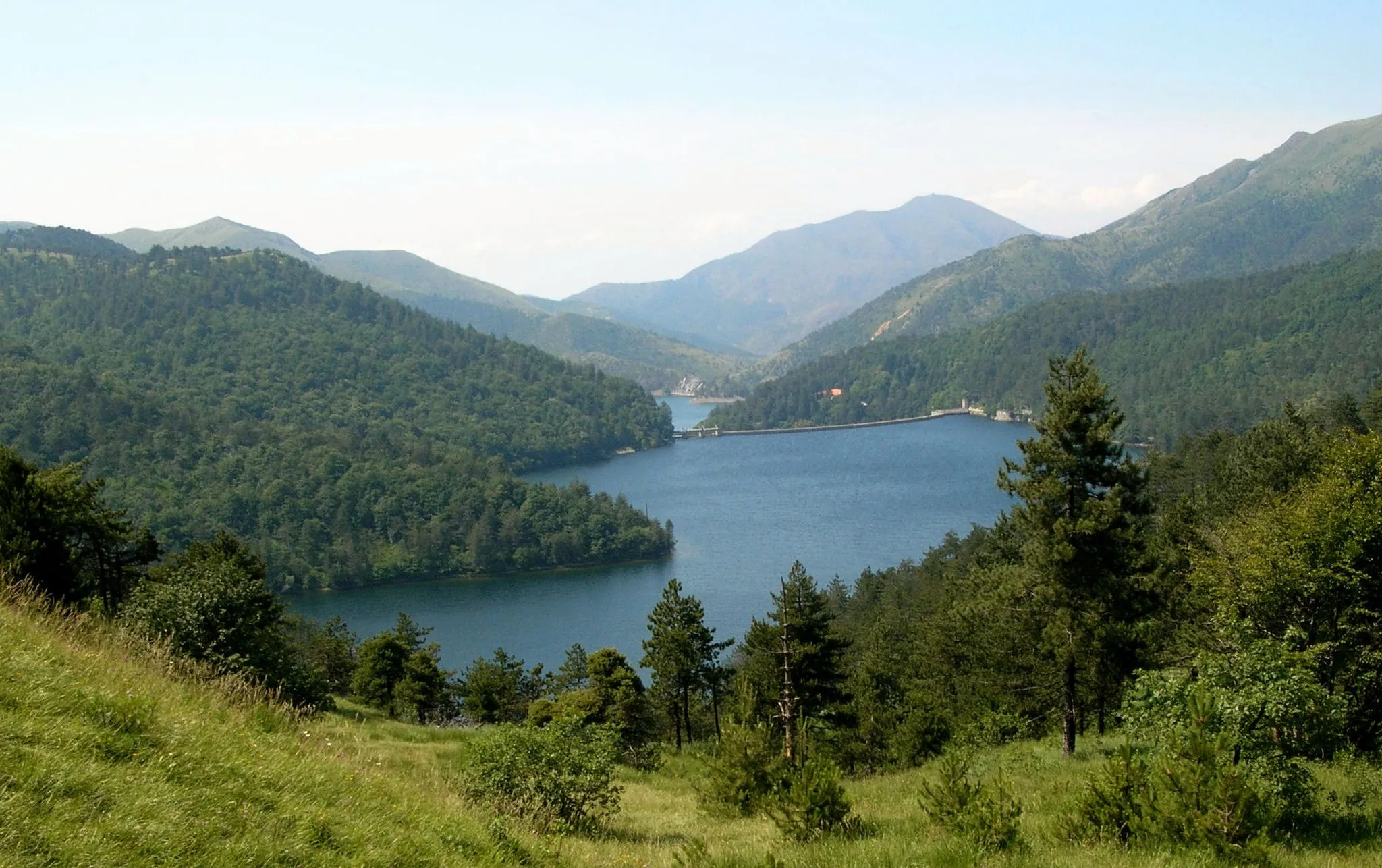 Photo showing: Foto propria
Giugno 2007

Laghi Gorzente (Lago Lungo e Lago Bruno)