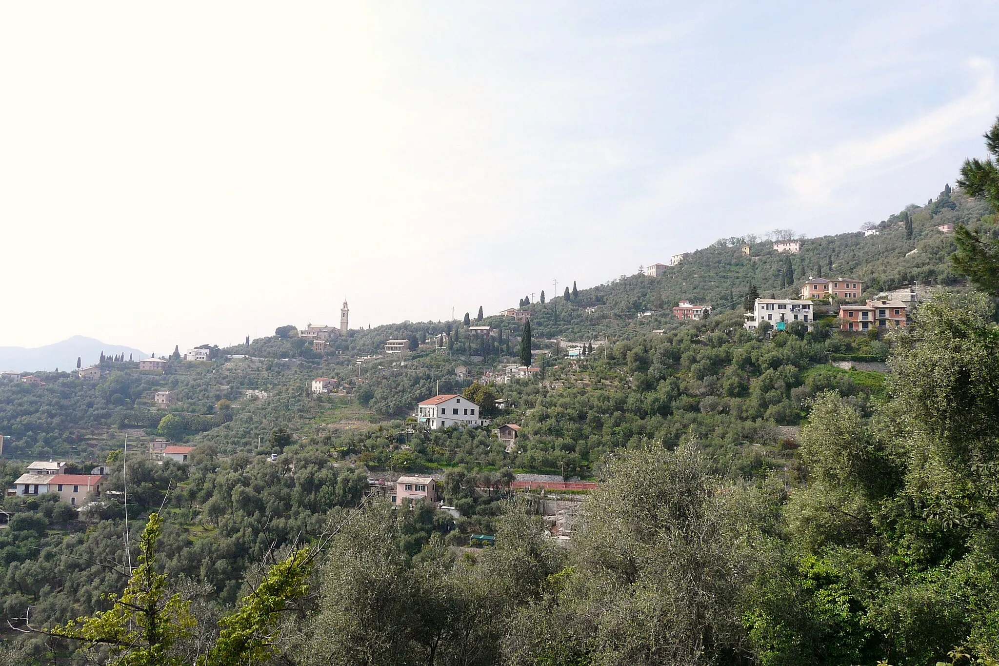 Photo showing: Sant'Ambrogio, Zoagli, Liguria, Italia