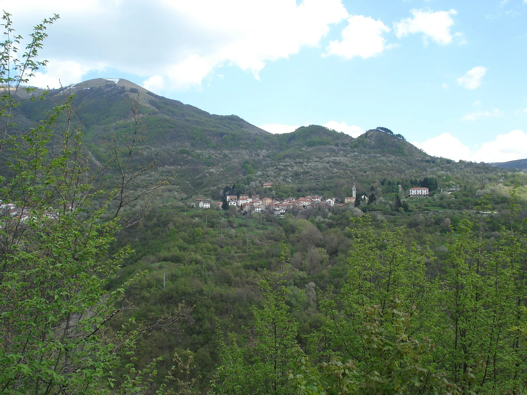 Photo showing: Carrega Ligure (Cosmin latan)