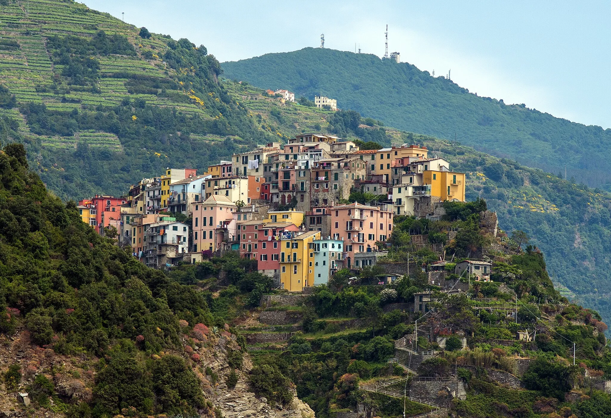 Photo showing: Corniglia cinque terre italy 2012 and vineyard terraces.