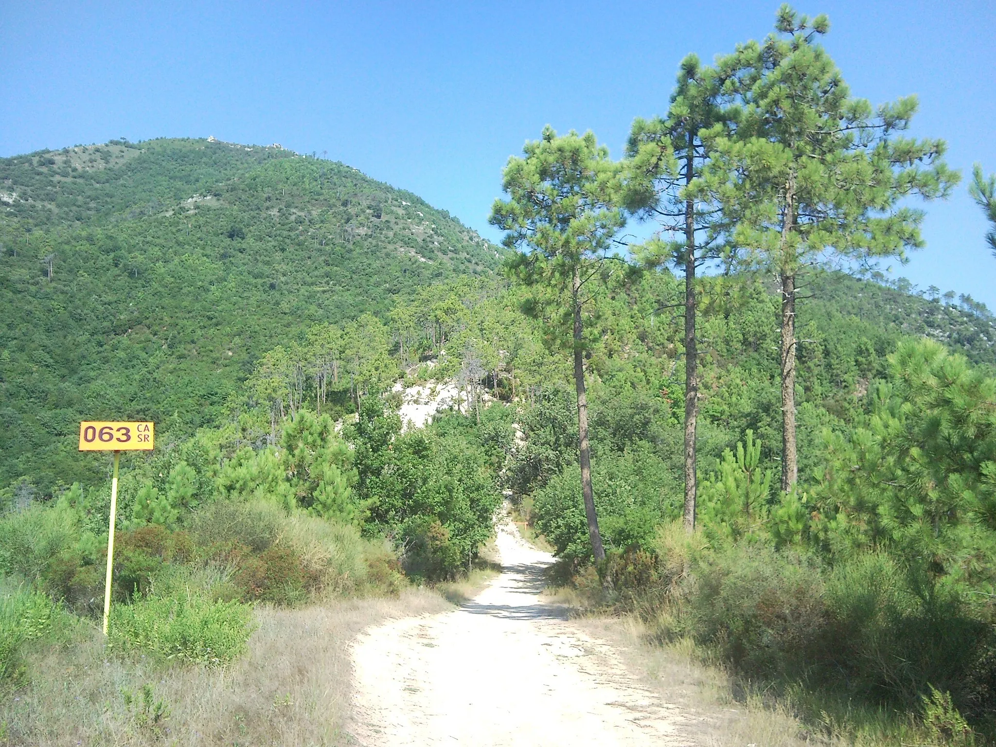 Photo showing: Vista di Via Pineta Marini verso nord, Boissano (SV)