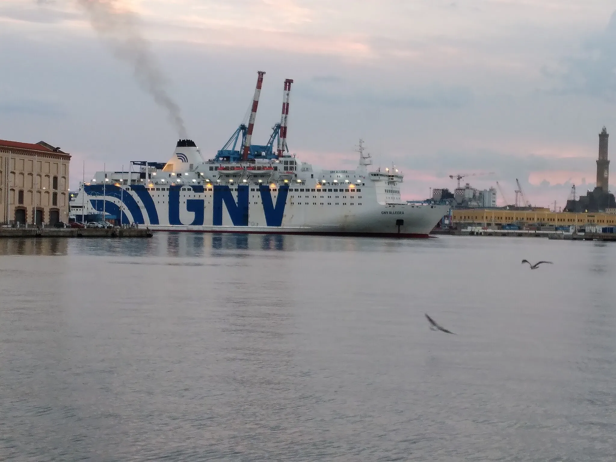 Photo showing: GNV ship